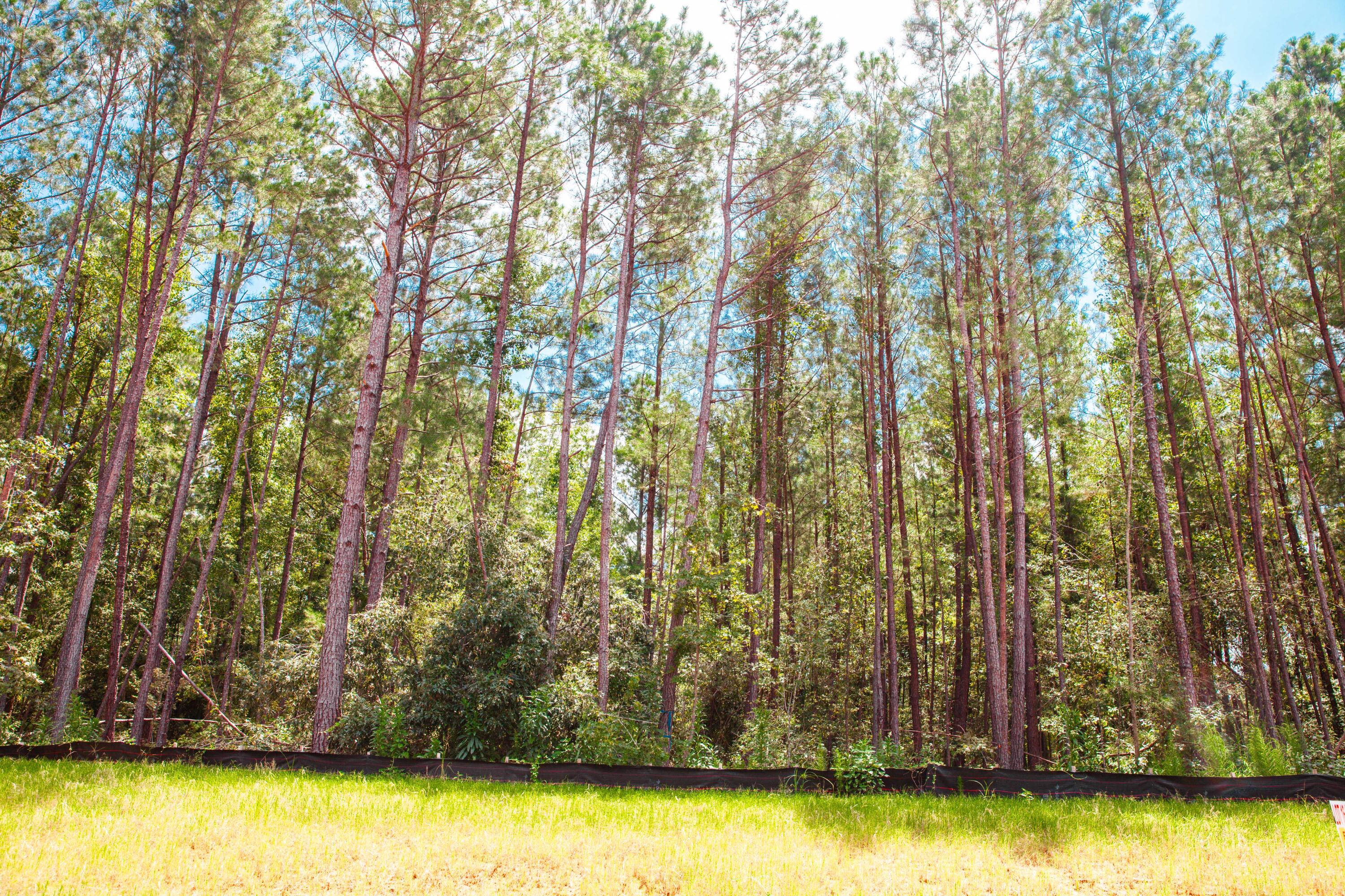 Lot 15 Leyland Court Property Photo 7