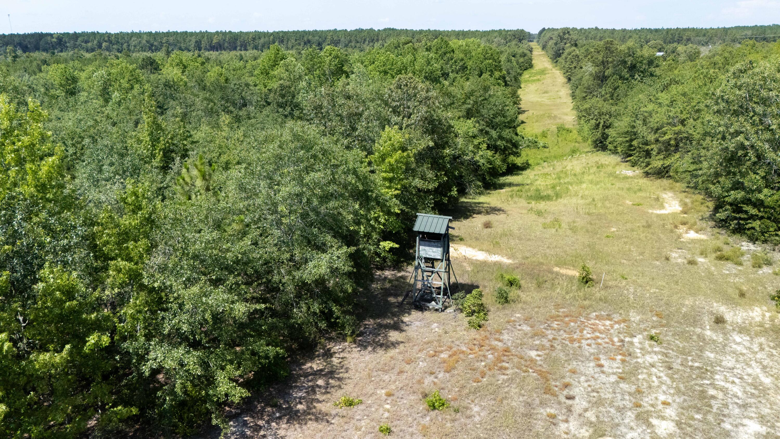 2576 Jessie James Pond Road Property Photo 8
