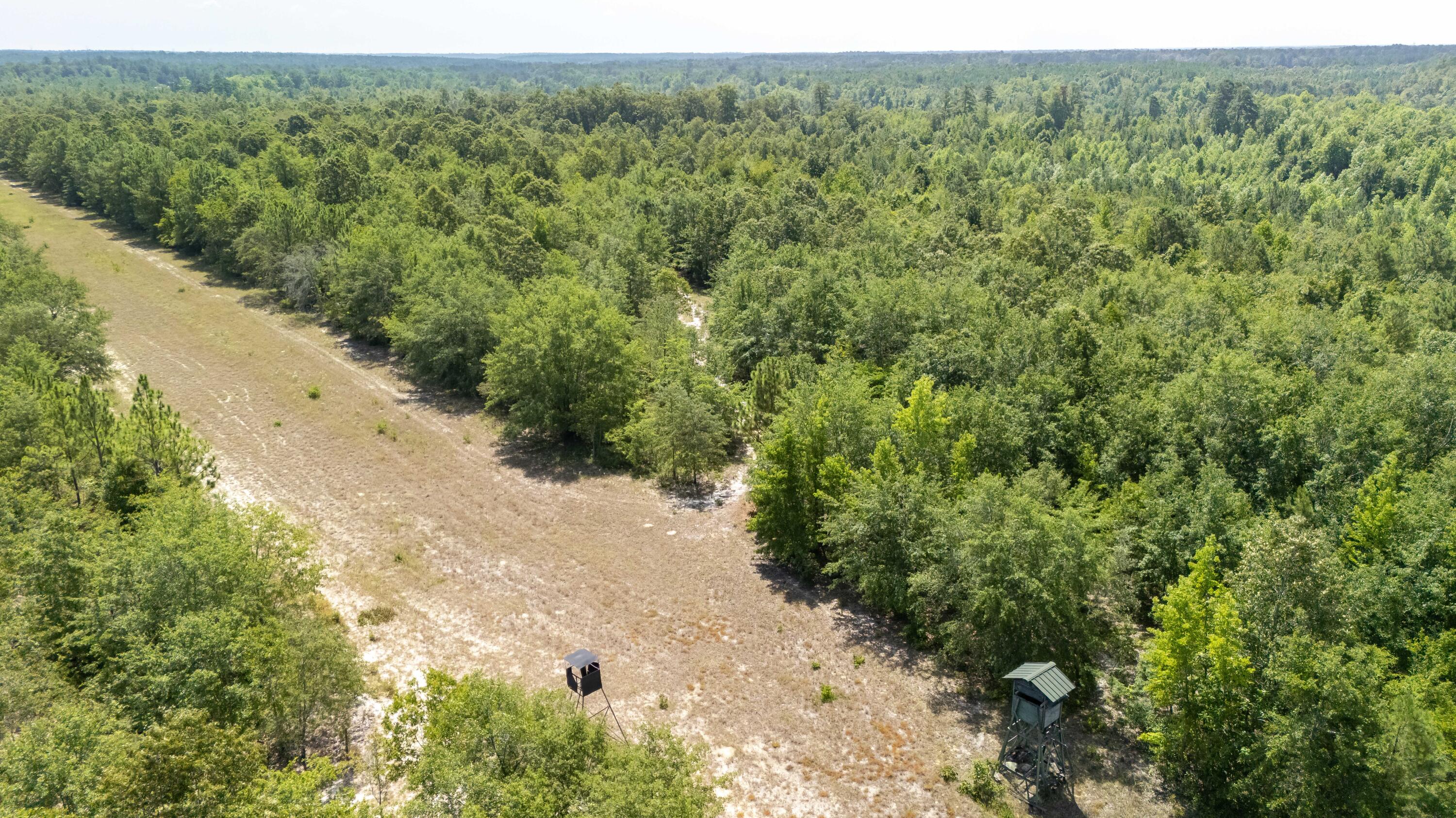 2576 Jessie James Pond Road Property Photo 10