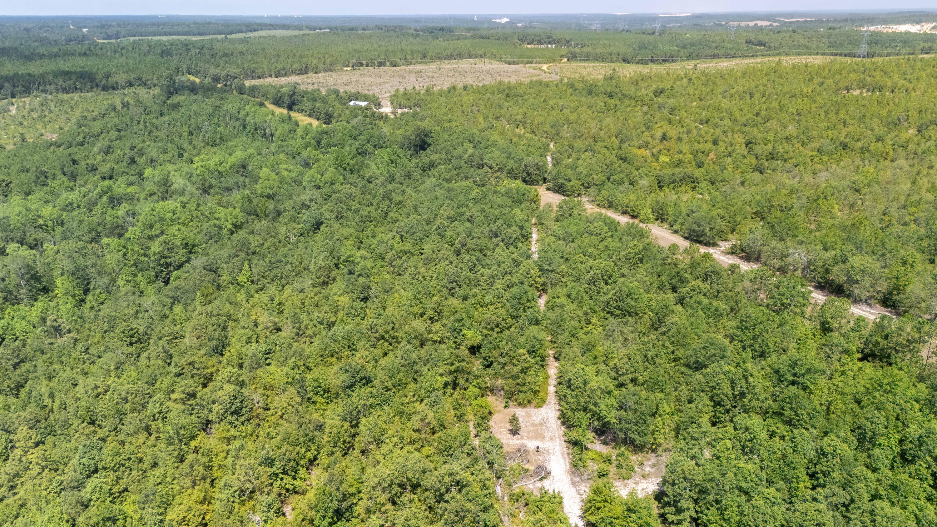 2576 Jessie James Pond Road Property Photo 14