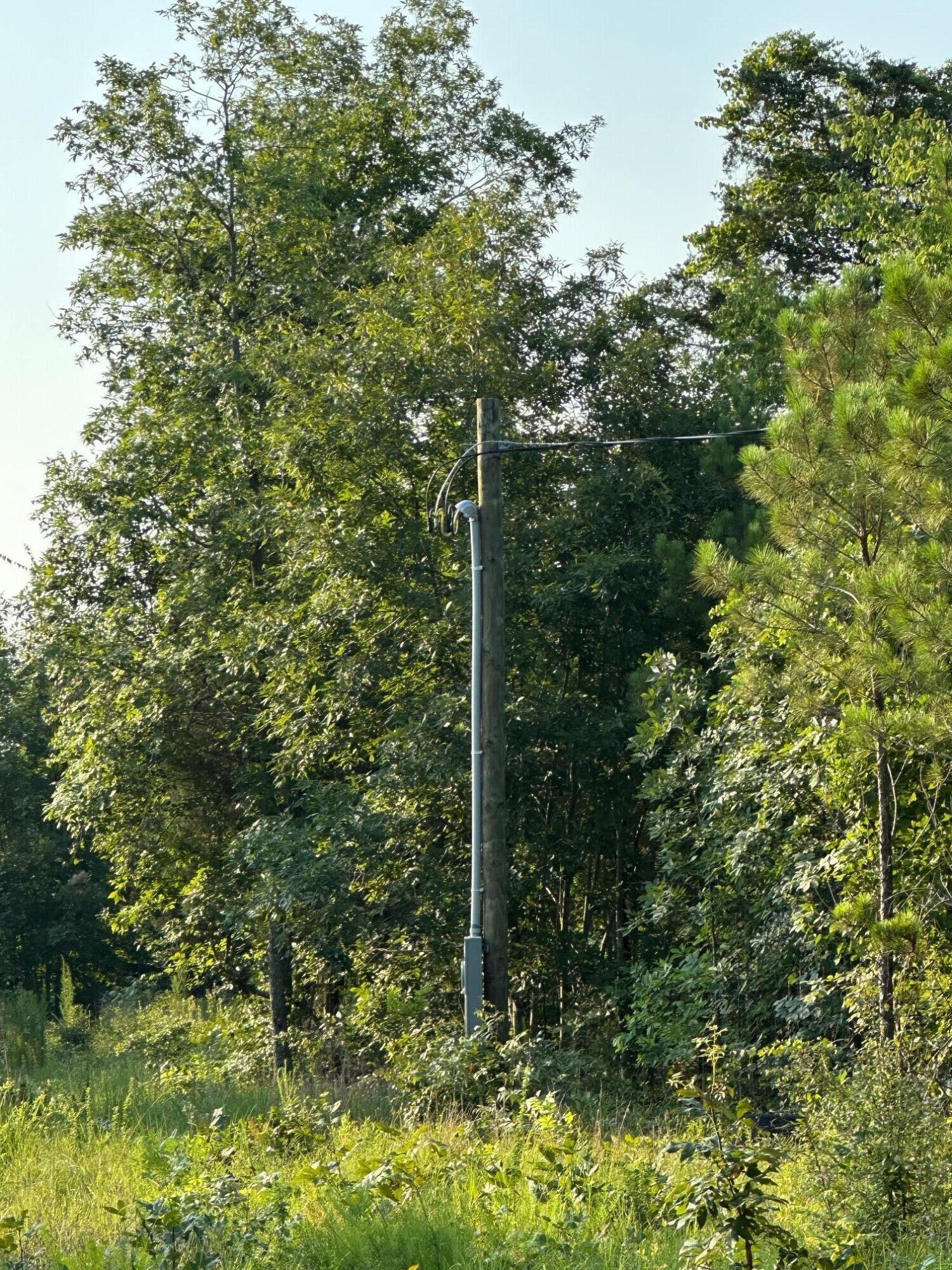 2576 Jessie James Pond Road Property Photo 15