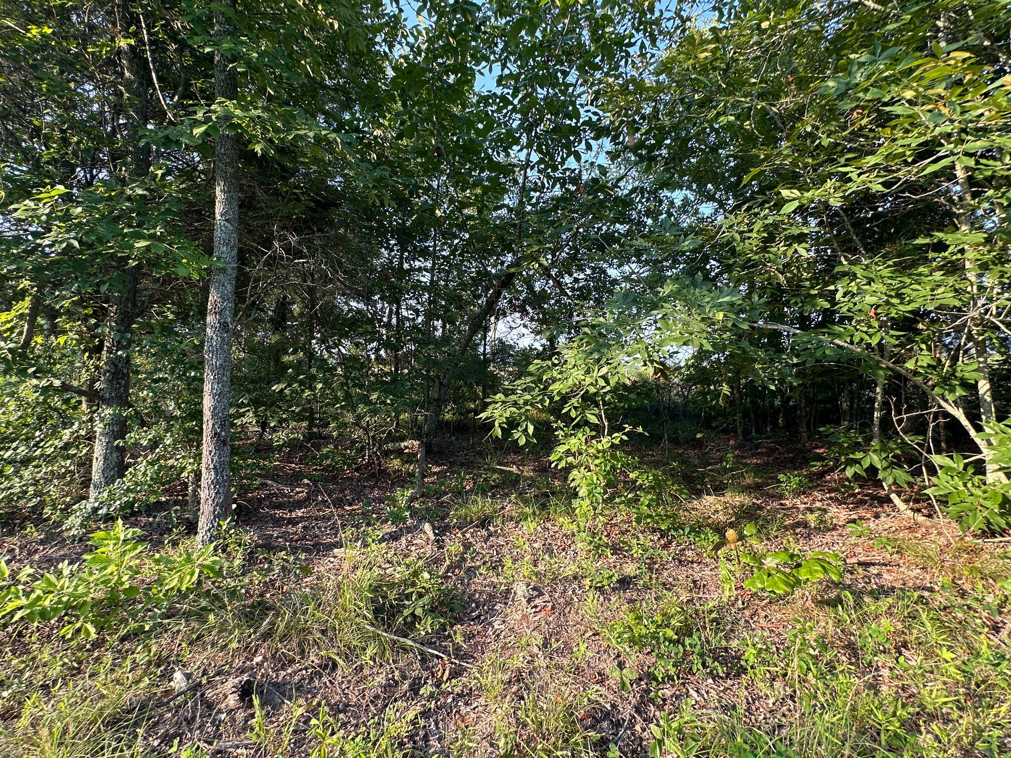 2576 Jessie James Pond Road Property Photo 19