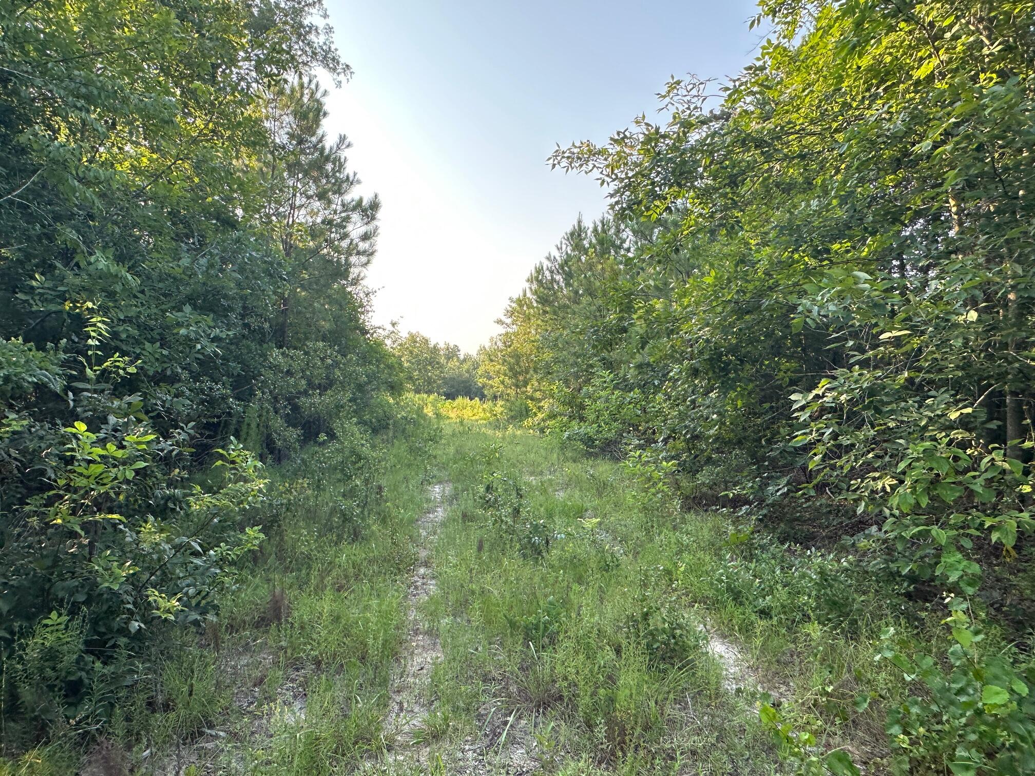2576 Jessie James Pond Road Property Photo 23