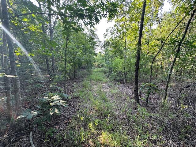 2576 Jessie James Pond Road Property Photo 24