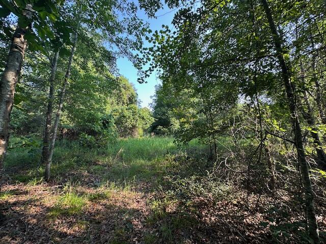 2576 Jessie James Pond Road Property Photo 25