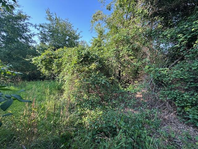 2576 Jessie James Pond Road Property Photo 26