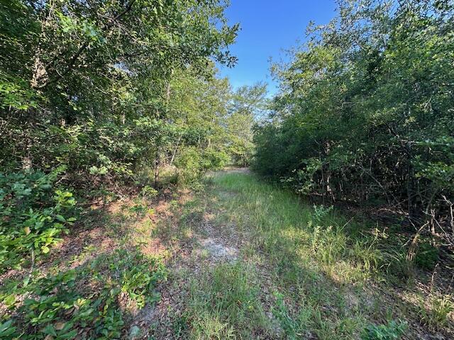 2576 Jessie James Pond Road Property Photo 27