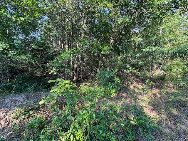 2576 Jessie James Pond Road Property Photo 28