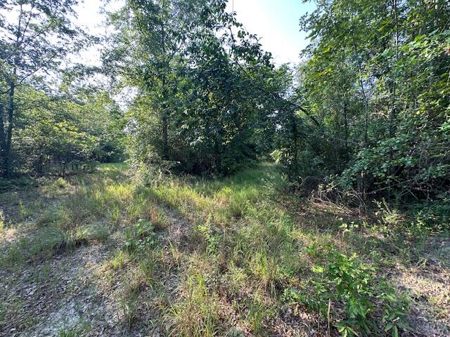 2576 Jessie James Pond Road Property Photo 29