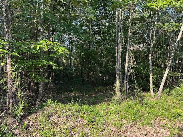 2576 Jessie James Pond Road Property Photo 30