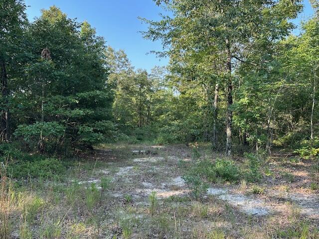 2576 Jessie James Pond Road Property Photo 31