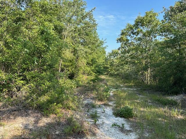 2576 Jessie James Pond Road Property Photo 32