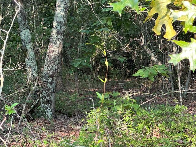2576 Jessie James Pond Road Property Photo 33
