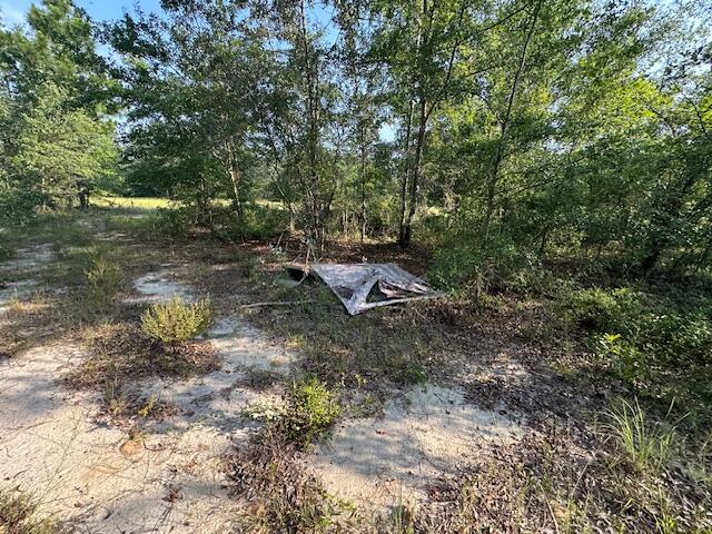 2576 Jessie James Pond Road Property Photo 34
