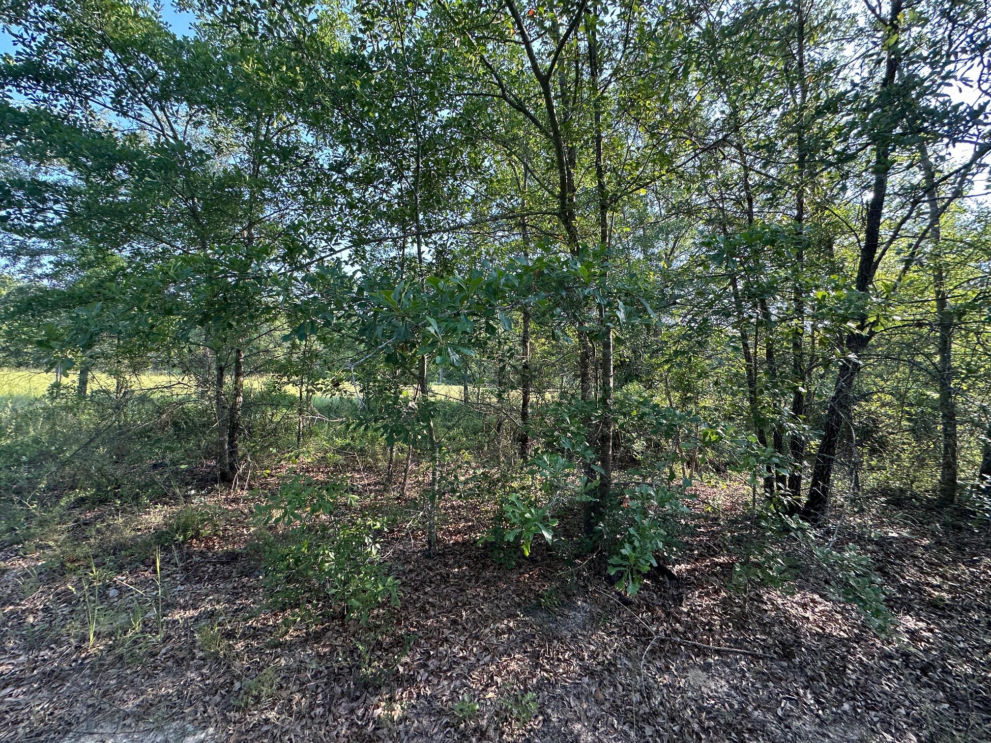 2576 Jessie James Pond Road Property Photo 35