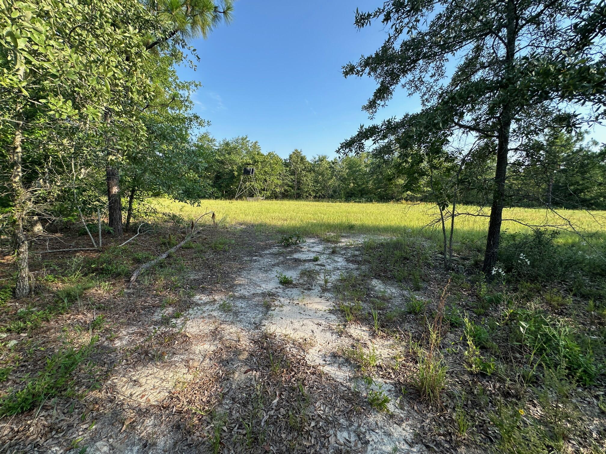2576 Jessie James Pond Road Property Photo 36