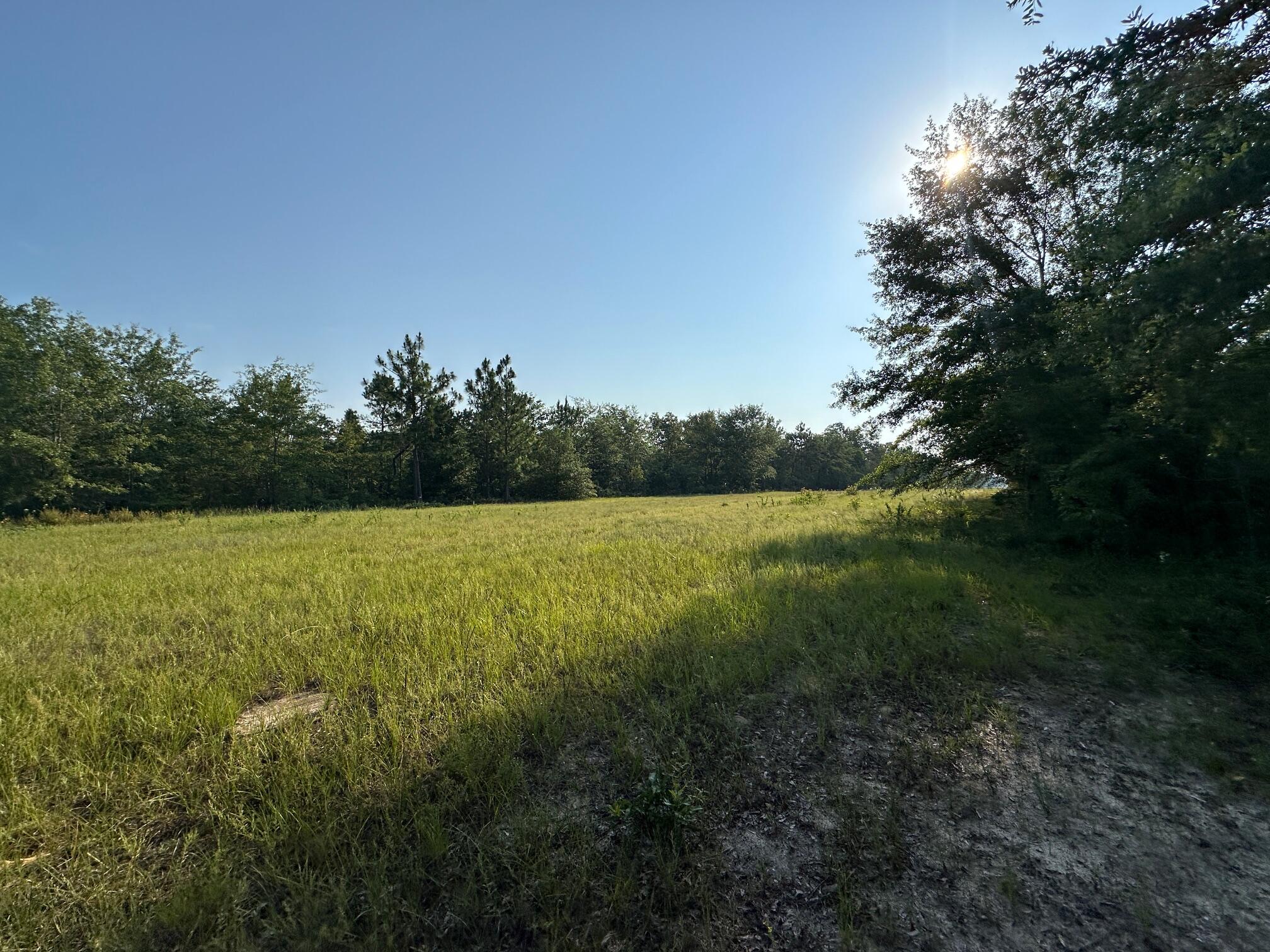 2576 Jessie James Pond Road Property Photo 37