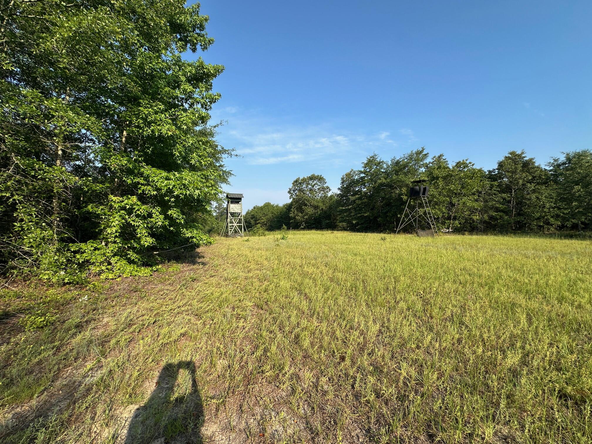 2576 Jessie James Pond Road Property Photo 38