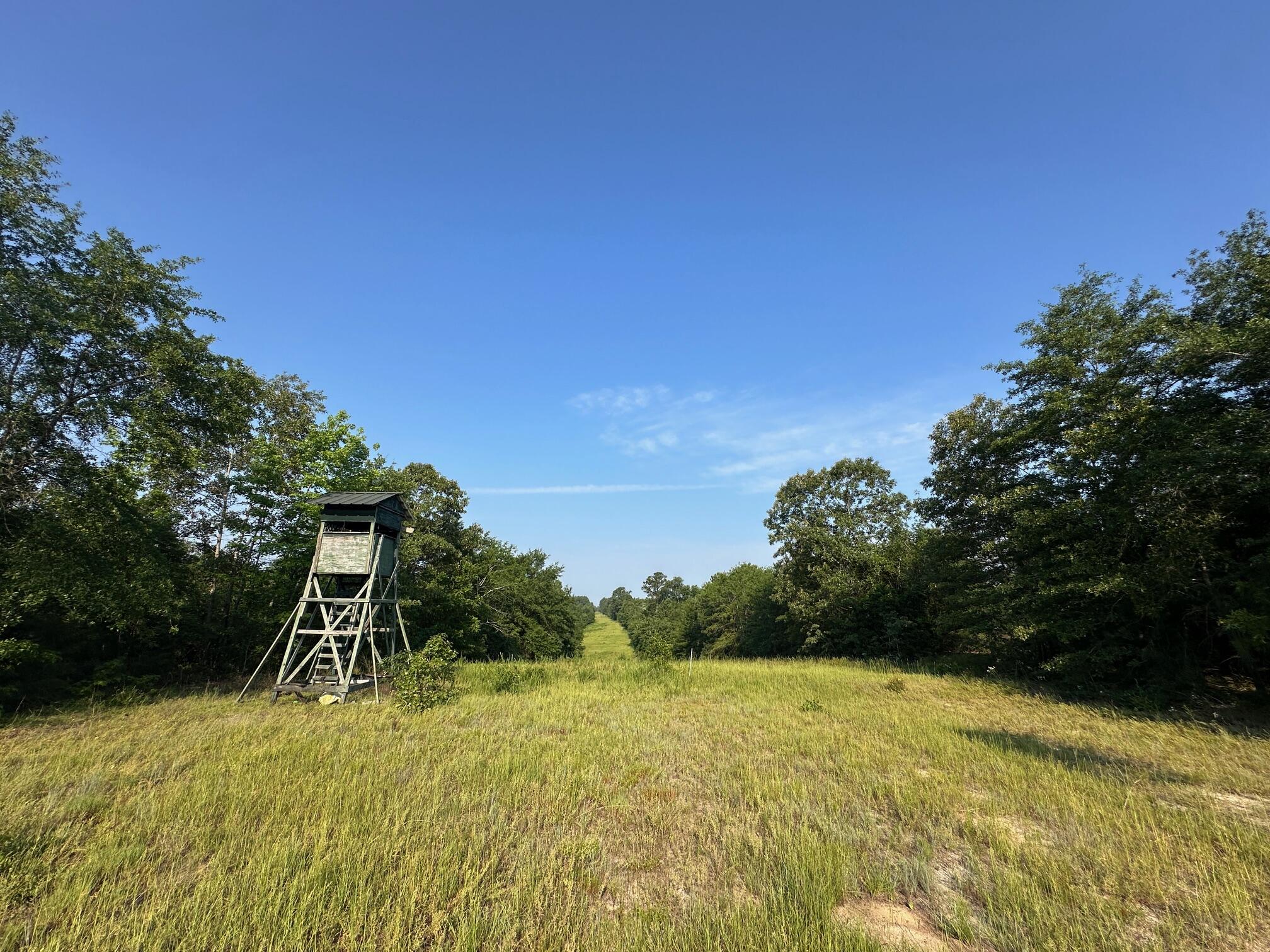 2576 Jessie James Pond Road Property Photo 39