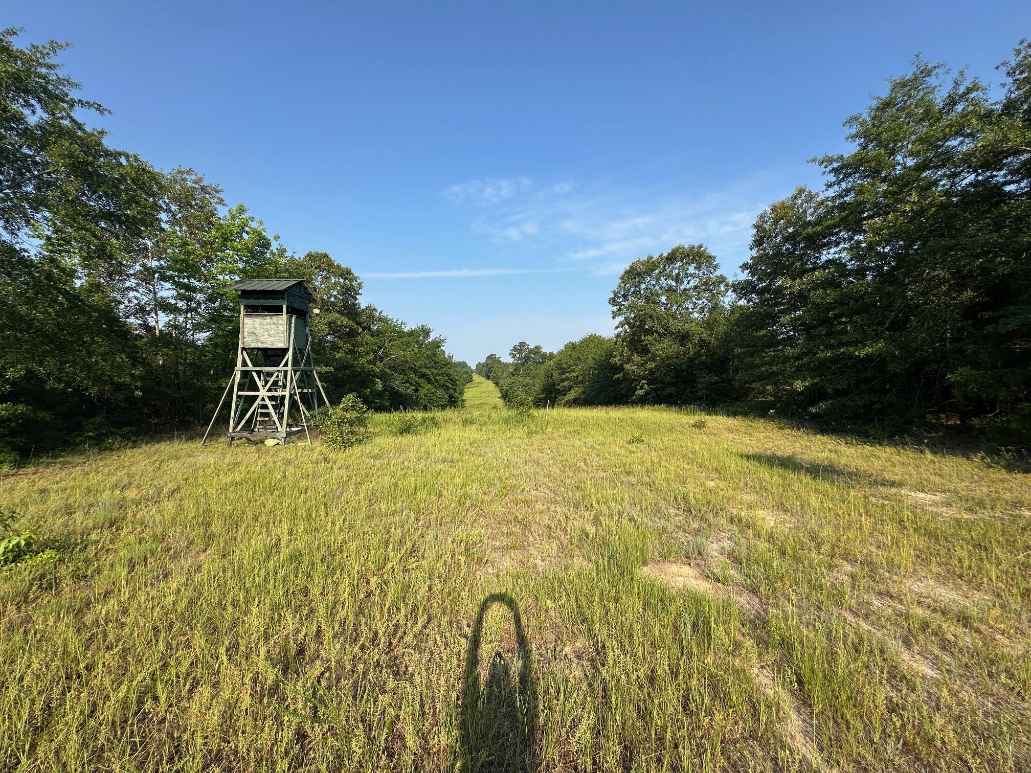 2576 Jessie James Pond Road Property Photo 40