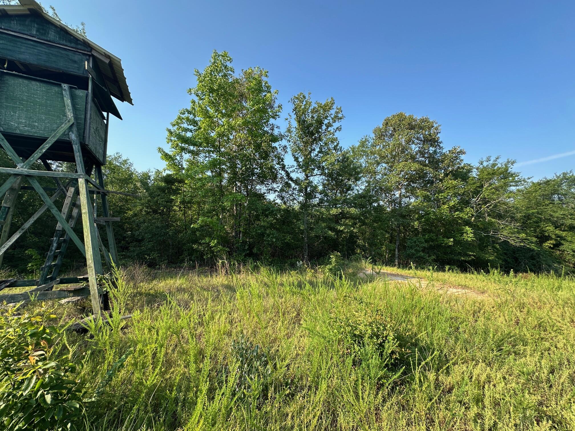 2576 Jessie James Pond Road Property Photo 41
