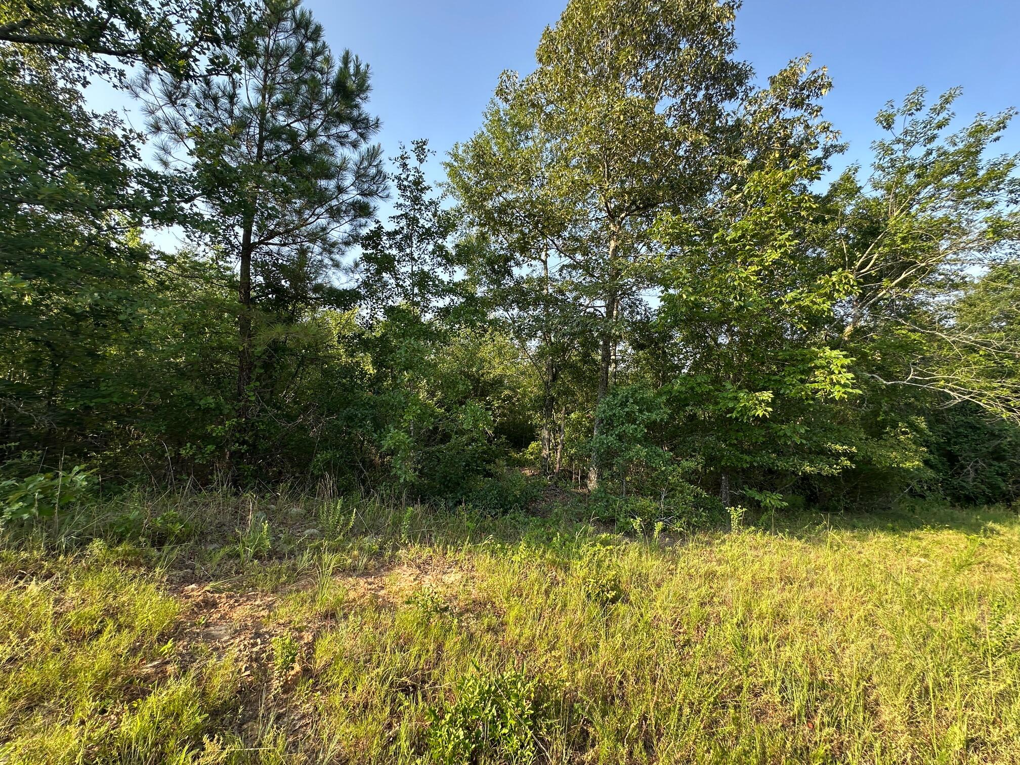 2576 Jessie James Pond Road Property Photo 42