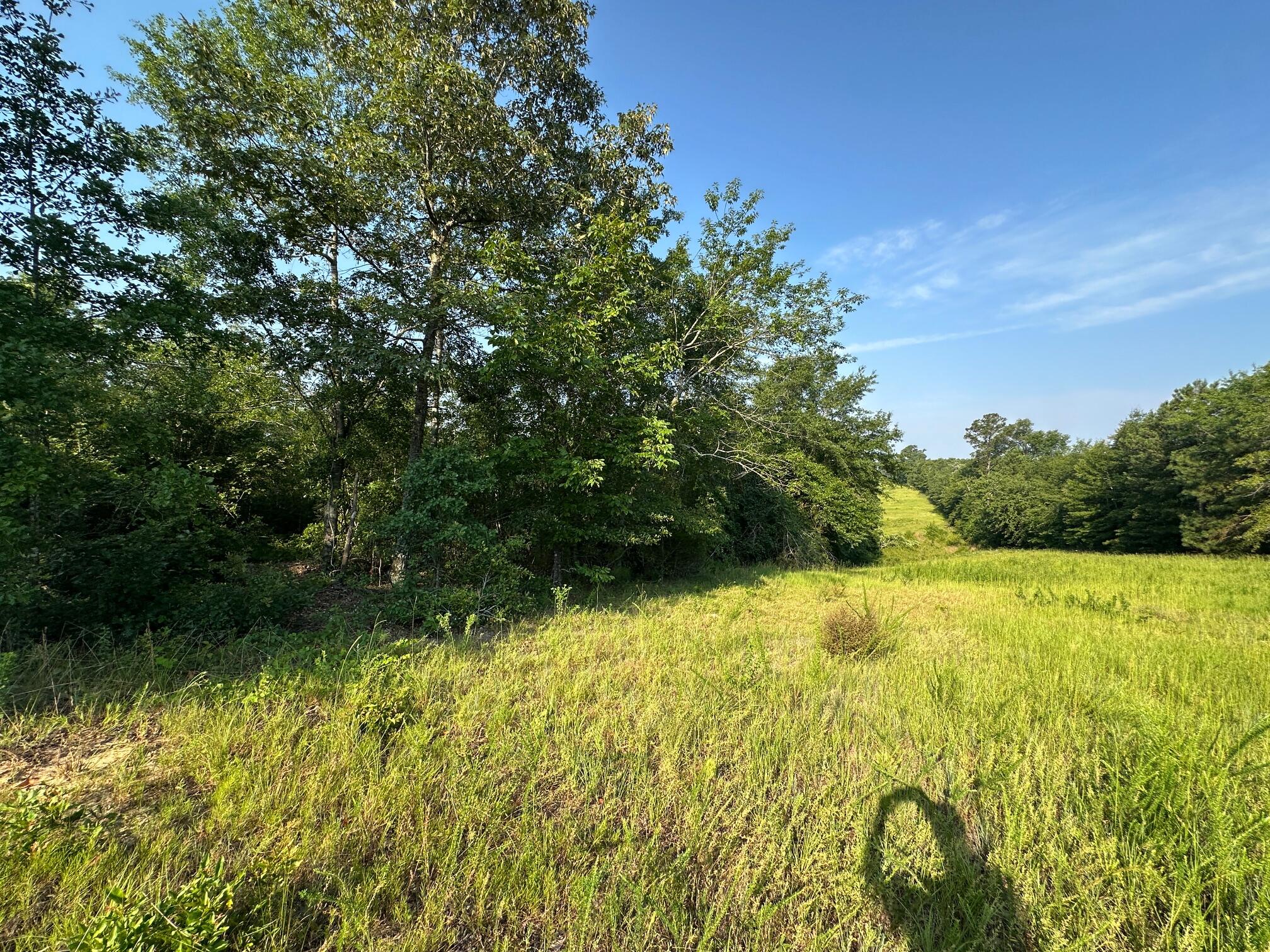 2576 Jessie James Pond Road Property Photo 43