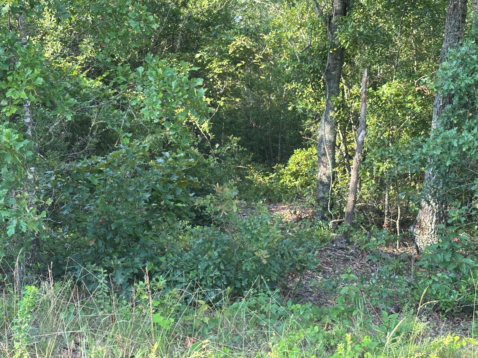2576 Jessie James Pond Road Property Photo 44