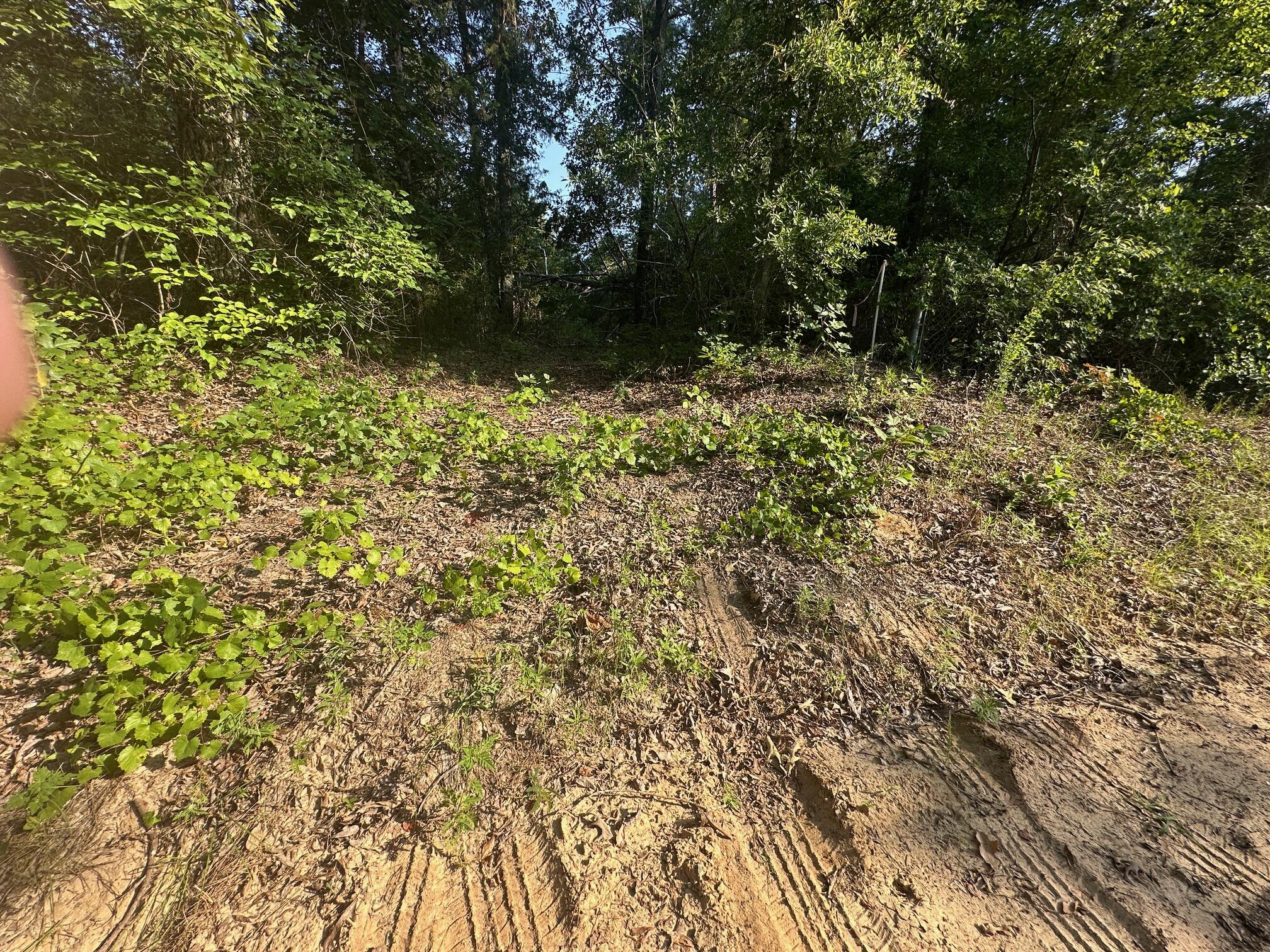 2576 Jessie James Pond Road Property Photo 45