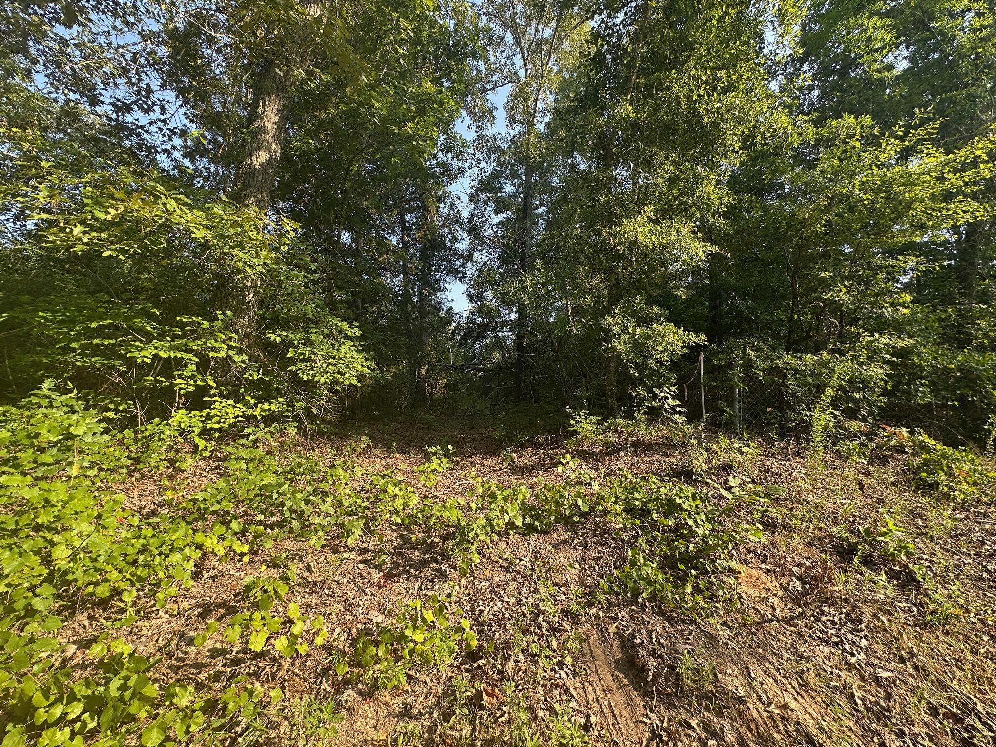 2576 Jessie James Pond Road Property Photo 46