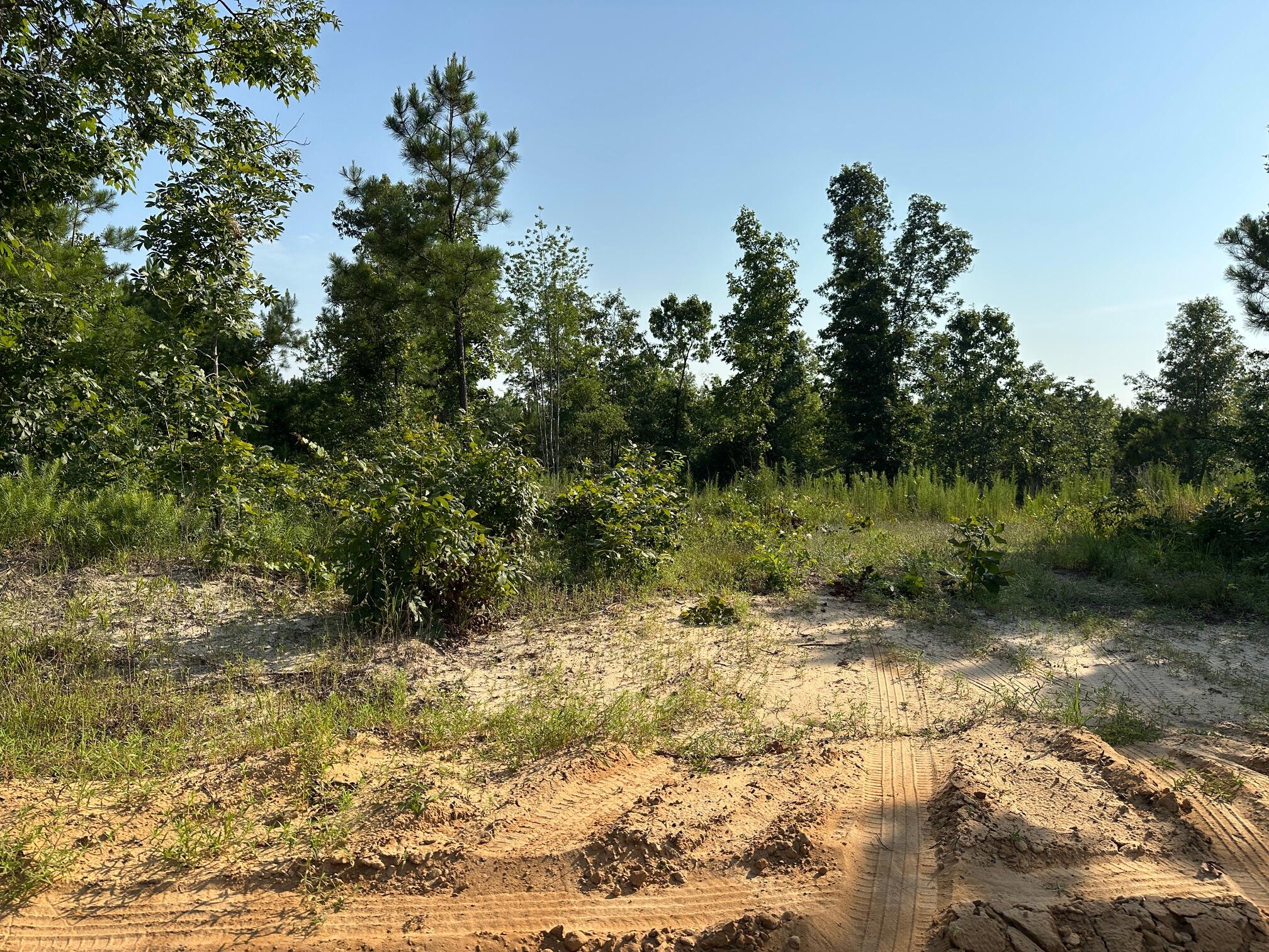 2576 Jessie James Pond Road Property Photo 47