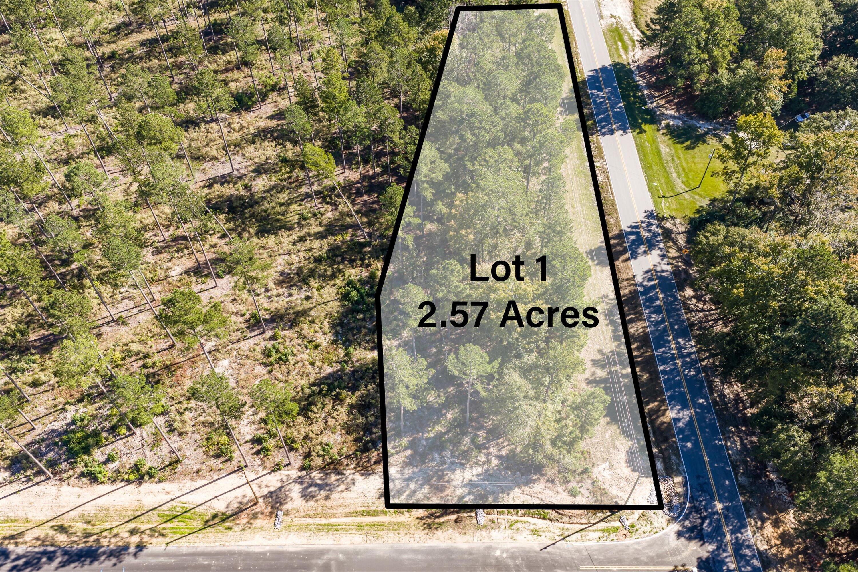 111 Beagle Chase Drive Property Photo 1