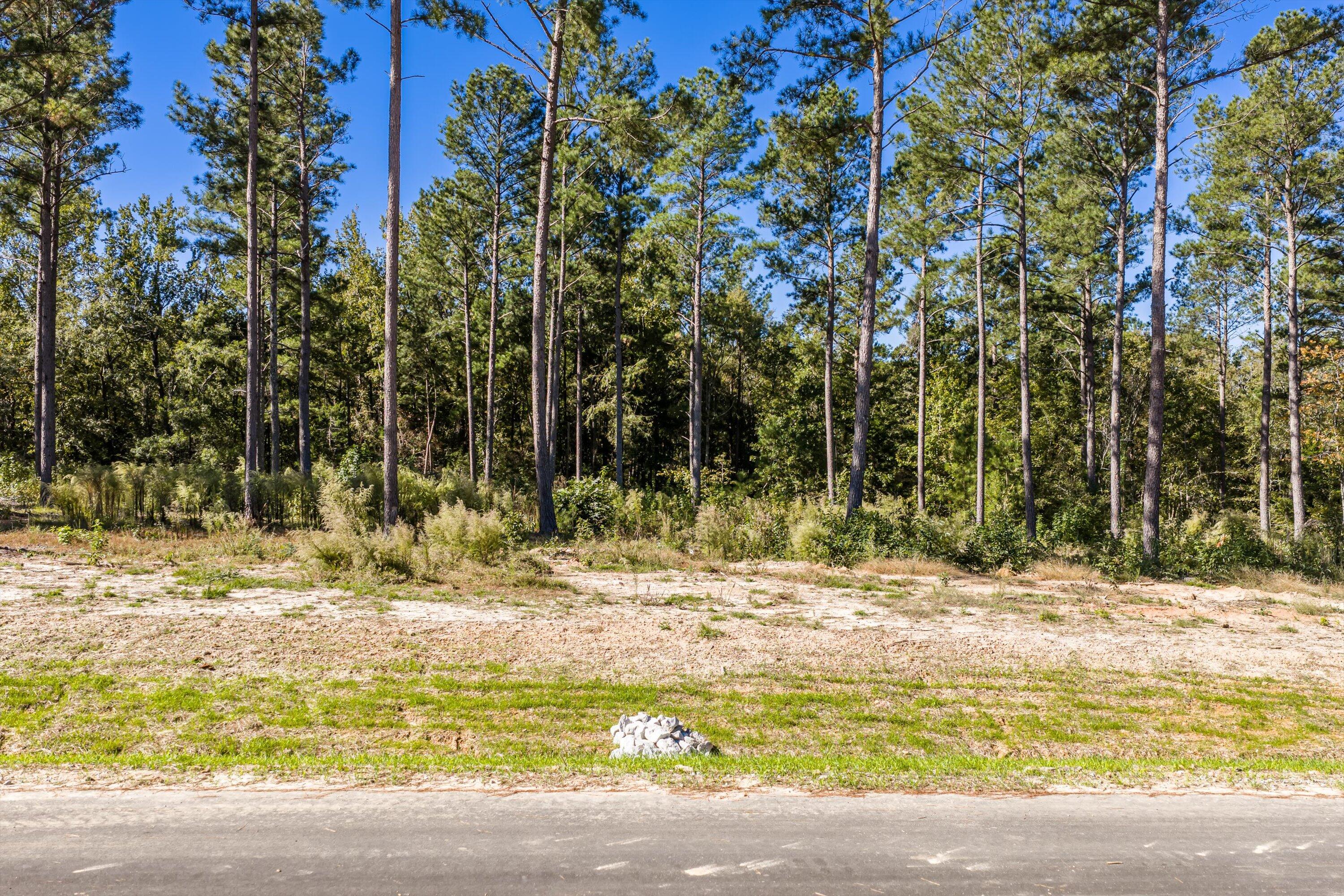 150 Beagle Chase Drive Property Photo 5