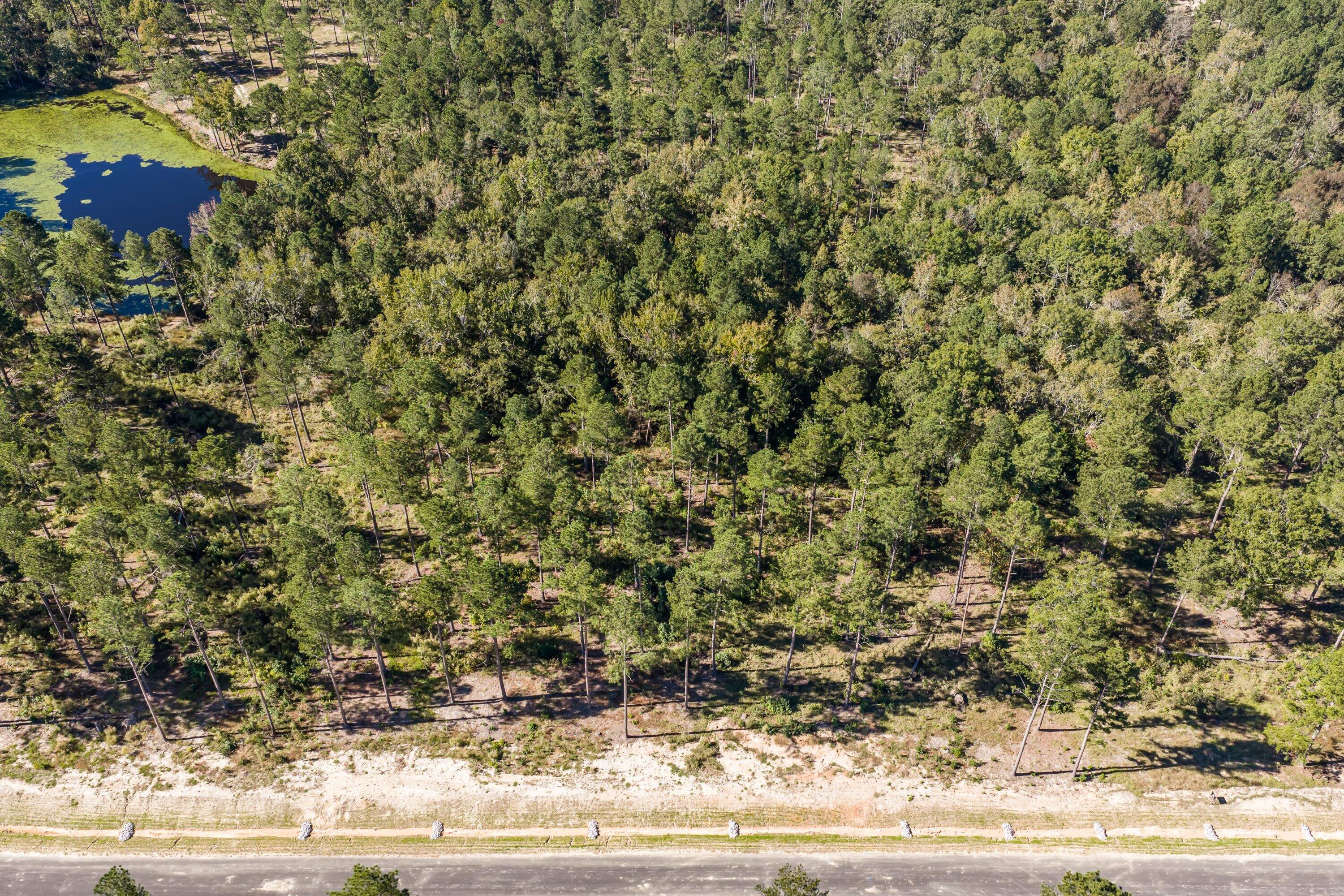 150 Beagle Chase Drive Property Photo 6