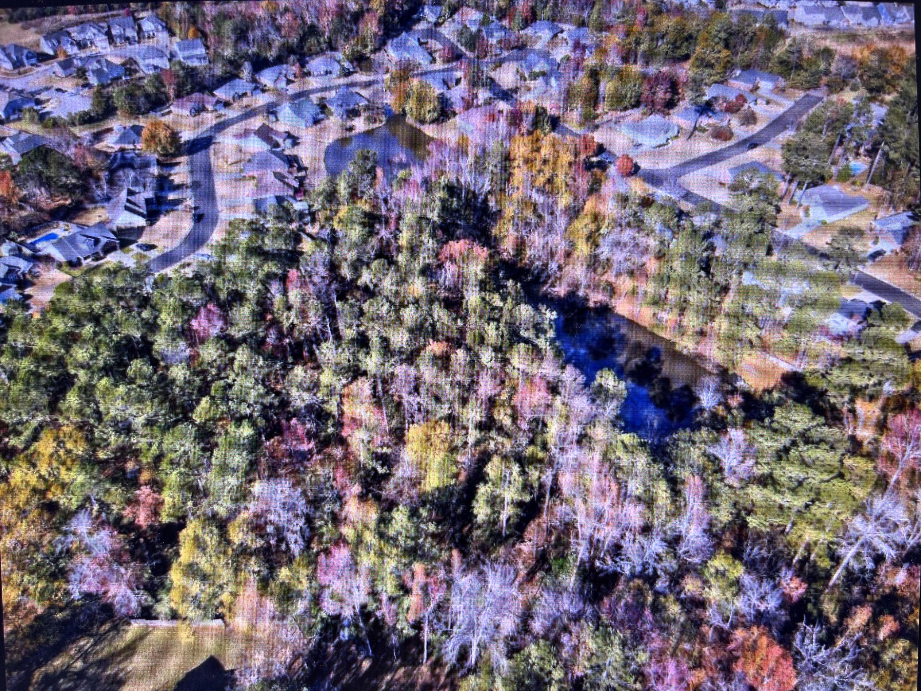 0 Osprey Lane Property Photo 2