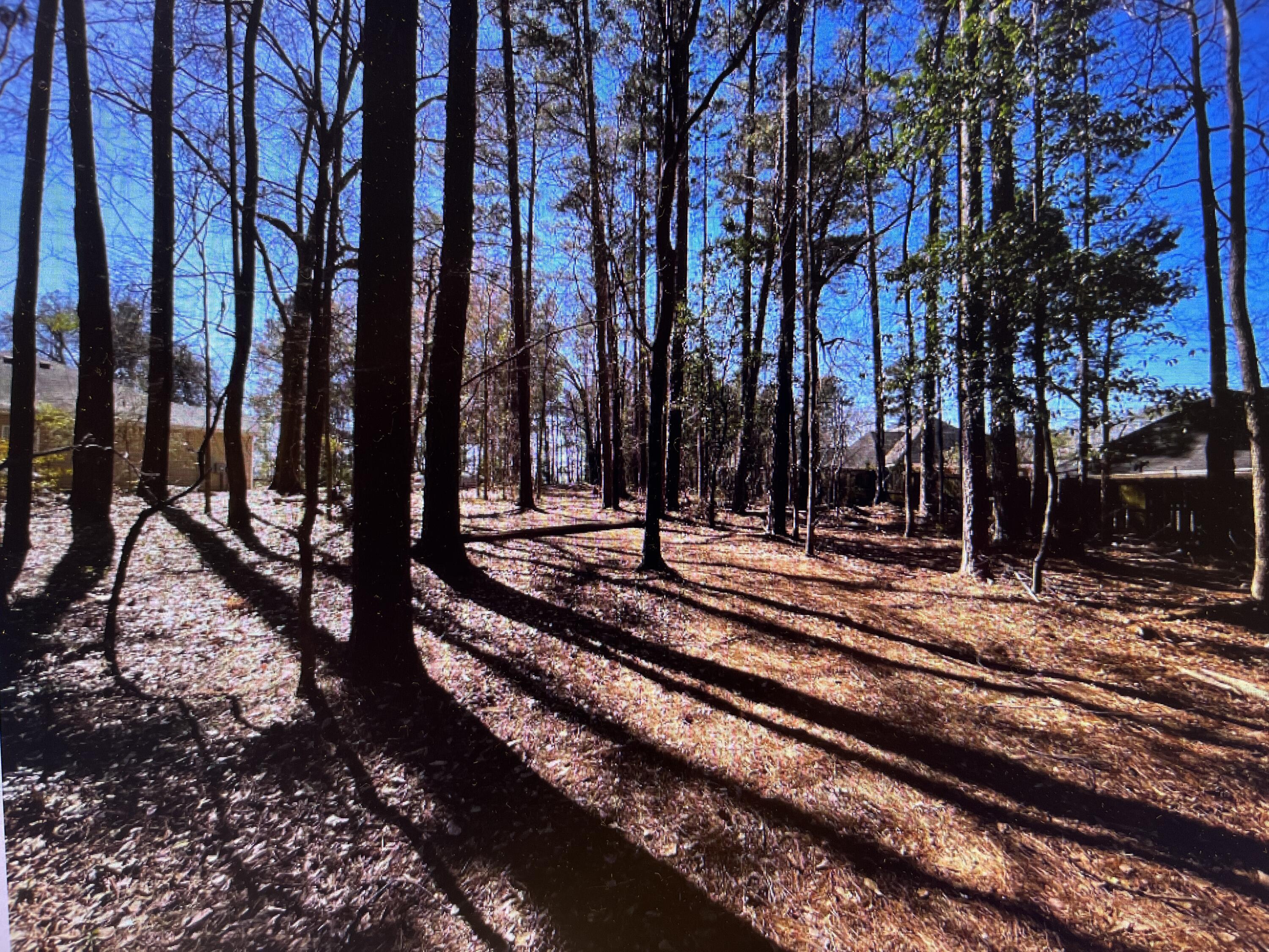 0 Osprey Lane Property Photo 3