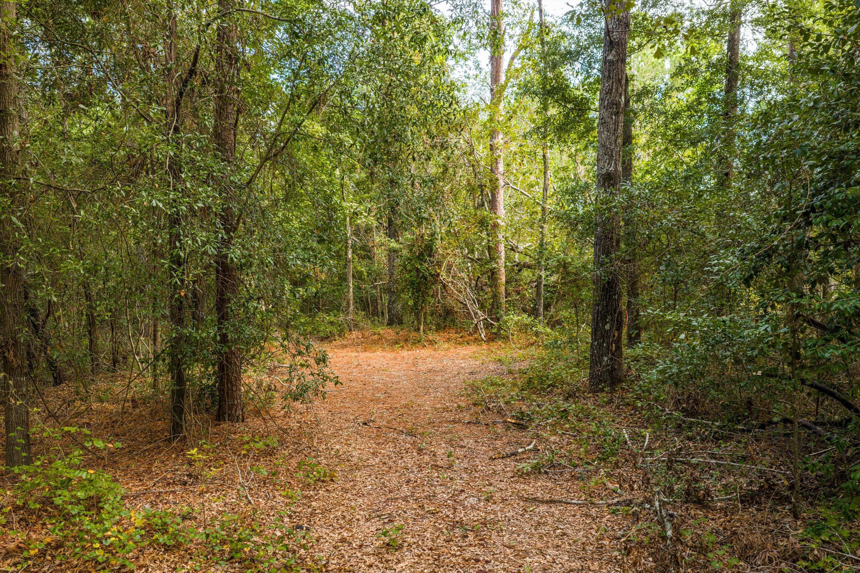 1503 Hephzibah - Mcbean Road Property Photo 2