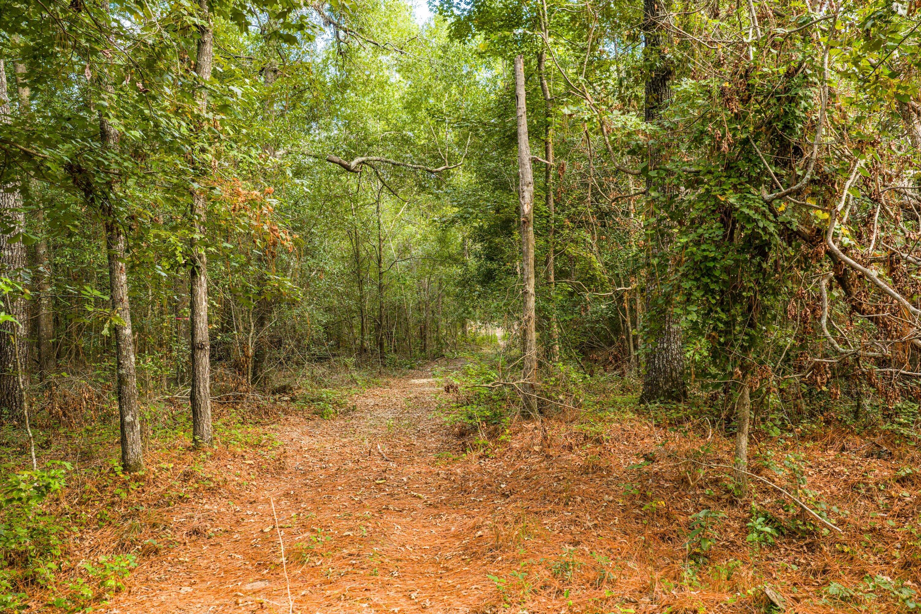 1503 Hephzibah - Mcbean Road Property Photo 3