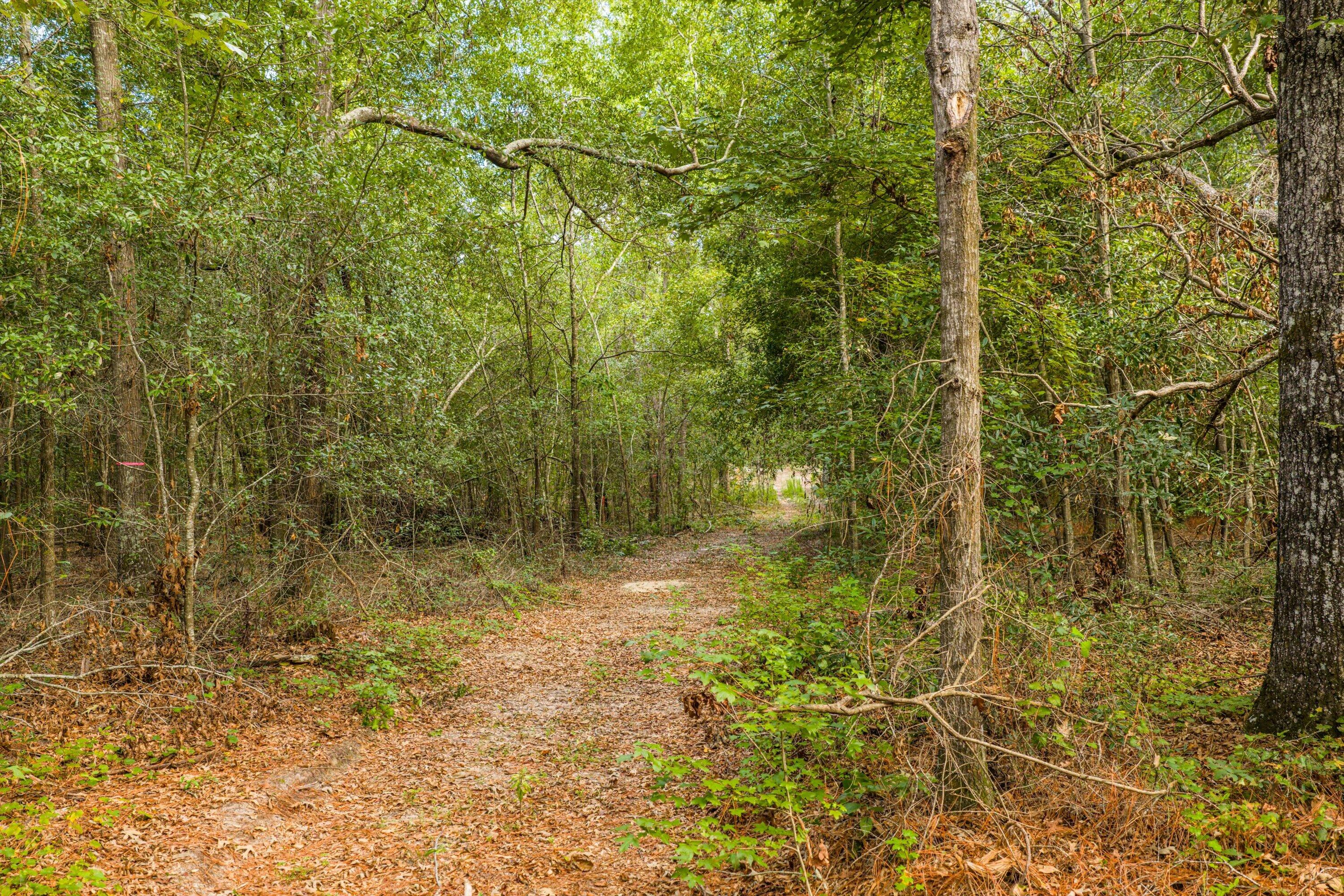 1503 Hephzibah - Mcbean Road Property Photo 4