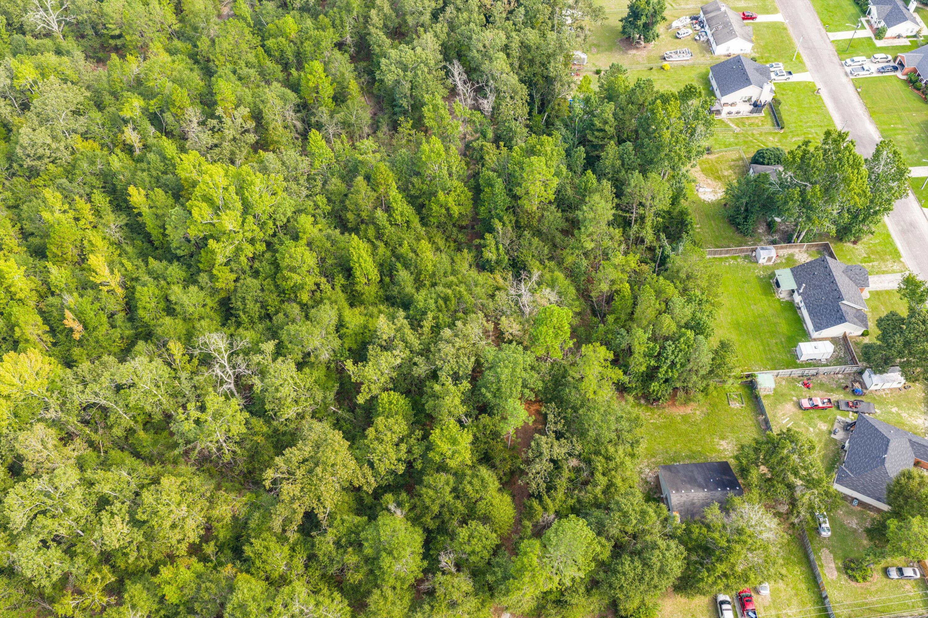 1503 Hephzibah - Mcbean Road Property Photo 7