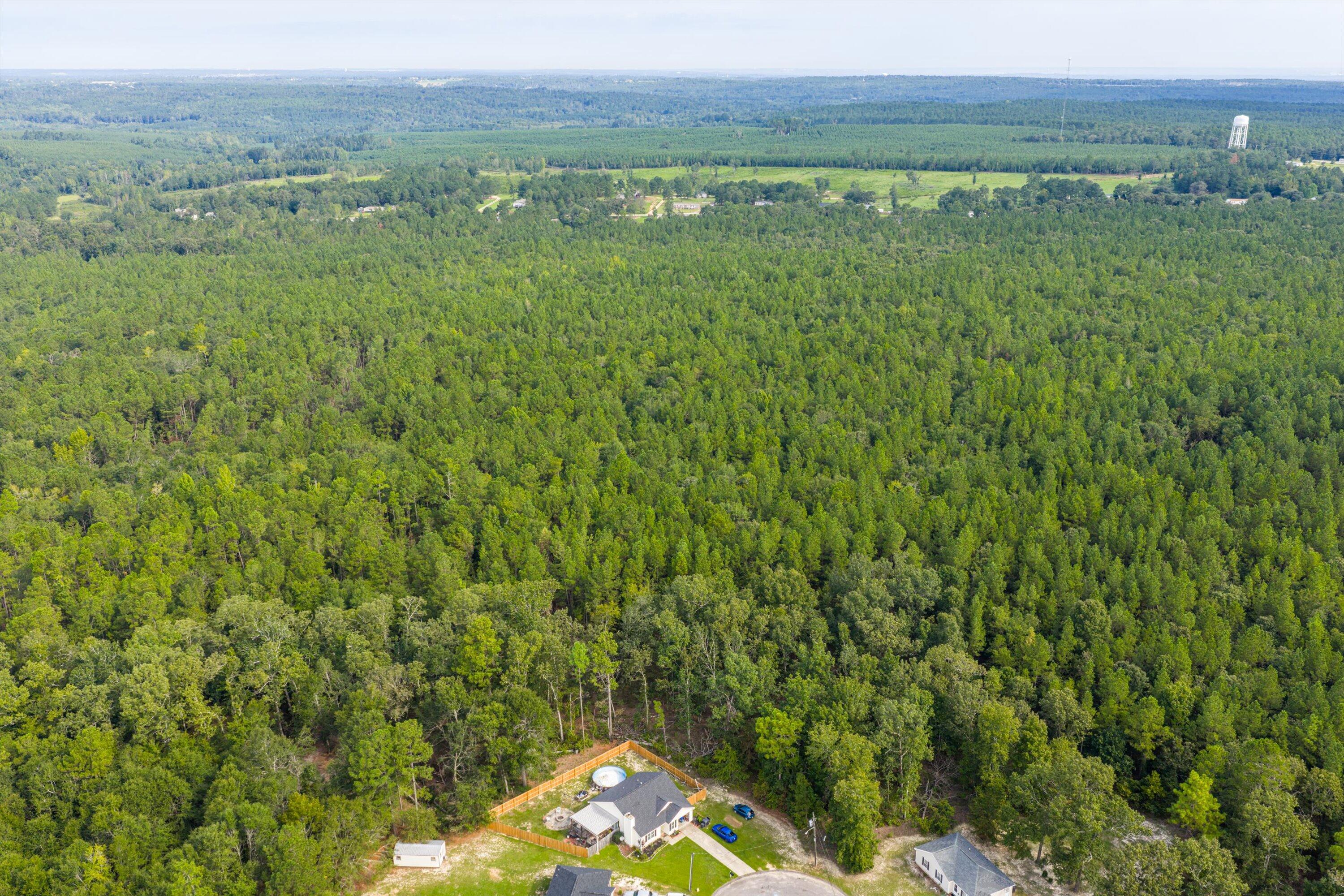 1503 Hephzibah - Mcbean Road Property Photo 8