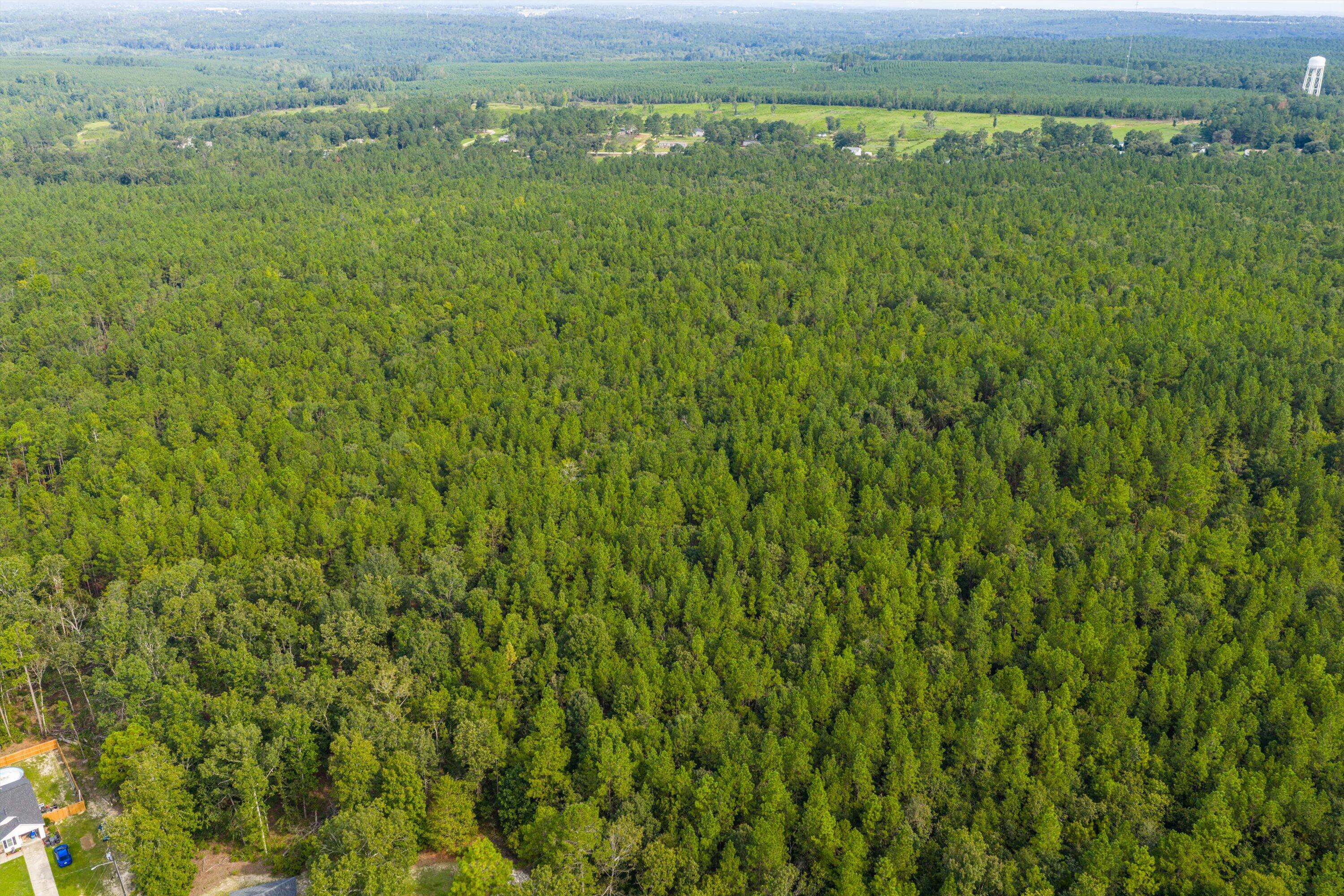 1503 Hephzibah - Mcbean Road Property Photo 10