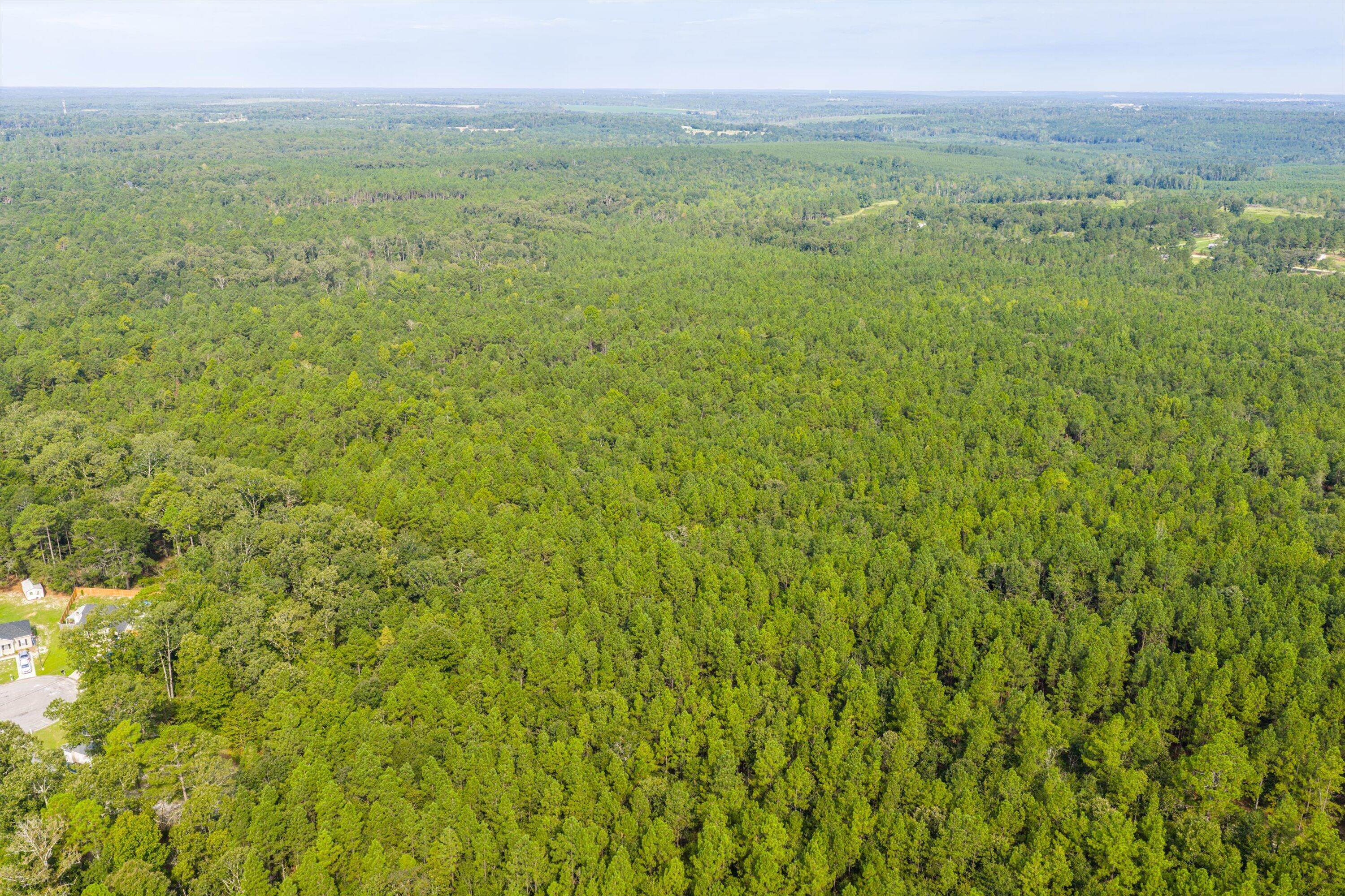 1503 Hephzibah - Mcbean Road Property Photo 11