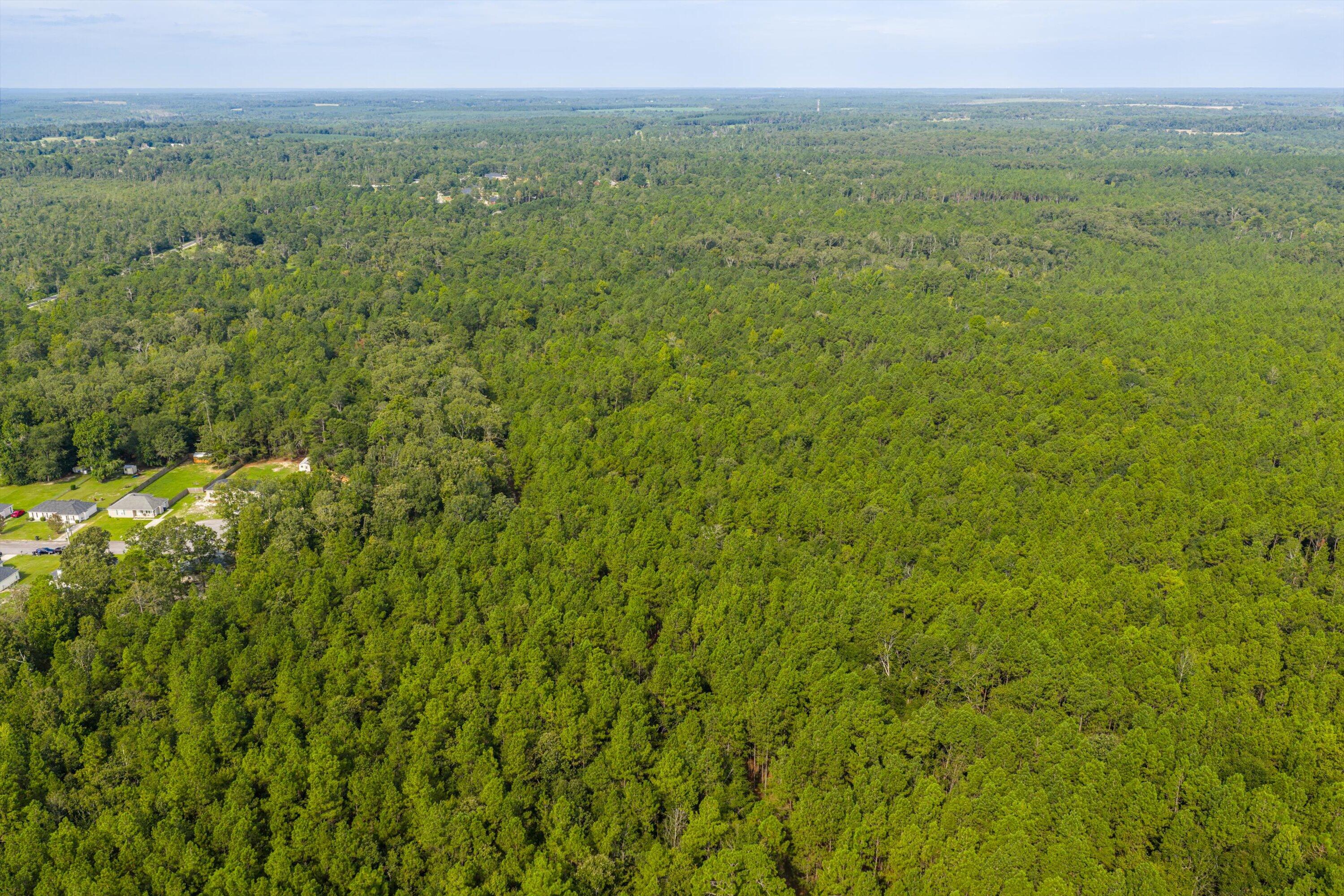 1503 Hephzibah - Mcbean Road Property Photo 12