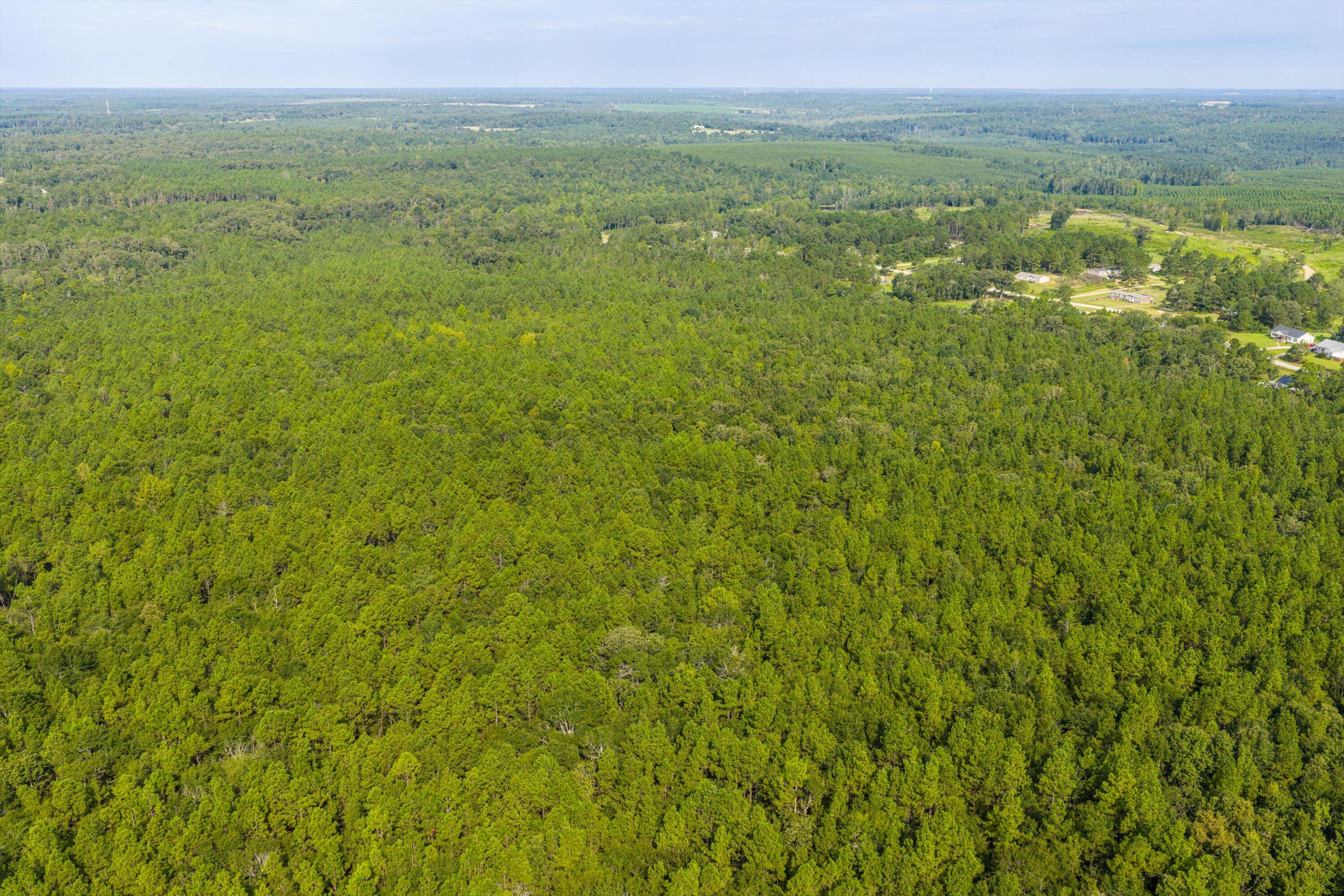 1503 Hephzibah - Mcbean Road Property Photo 13