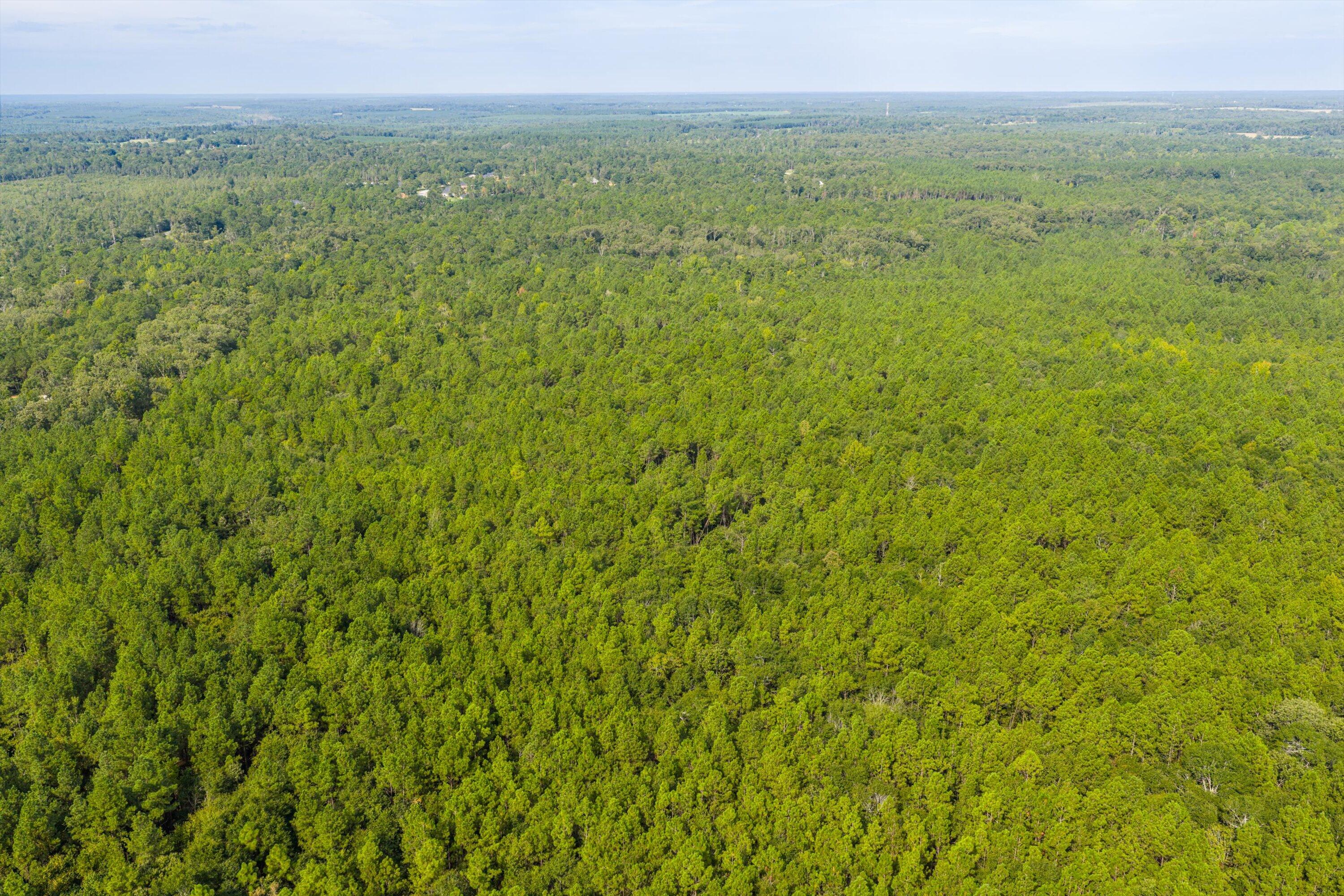 1503 Hephzibah - Mcbean Road Property Photo 14