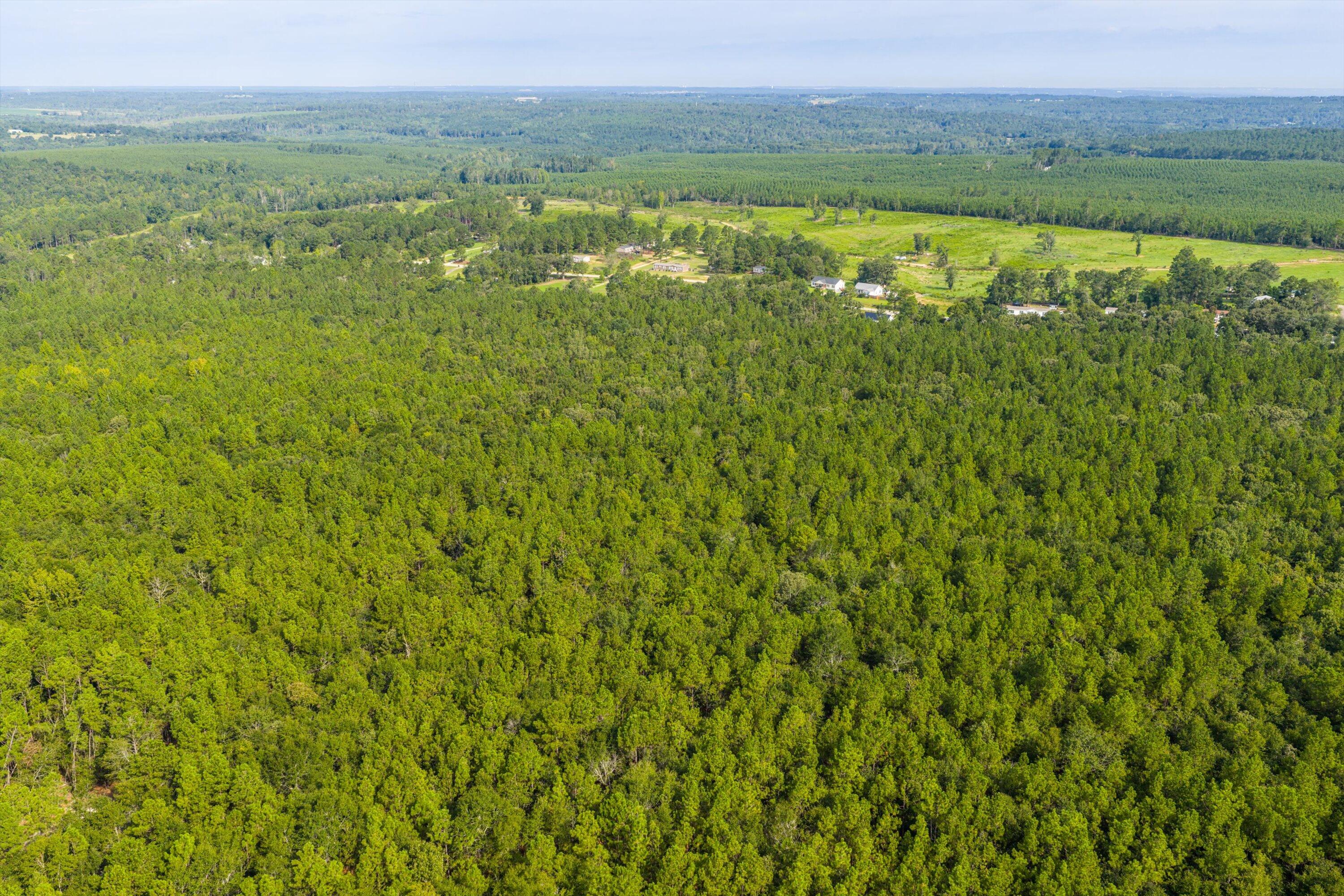1503 Hephzibah - Mcbean Road Property Photo 15