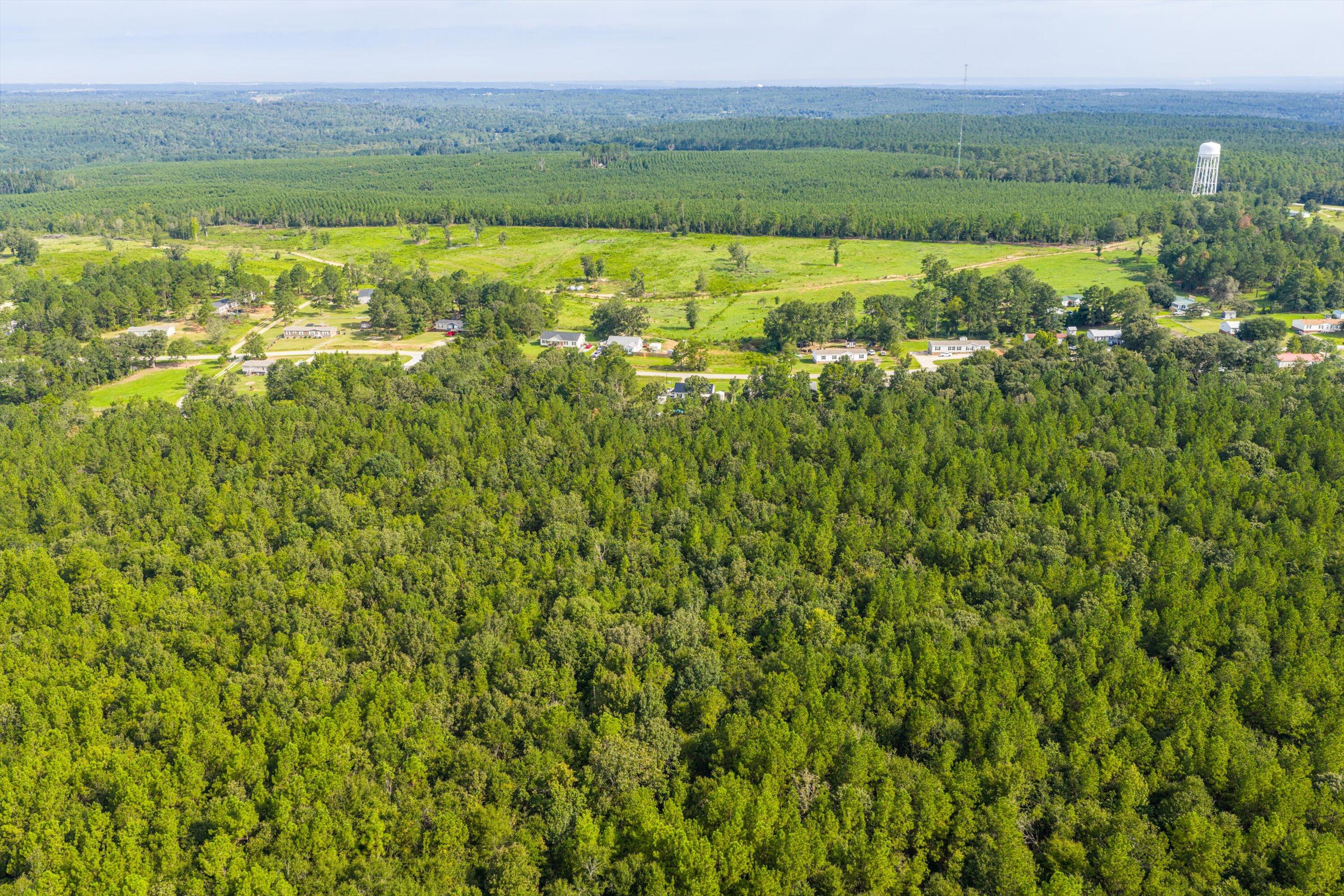1503 Hephzibah - Mcbean Road Property Photo 18