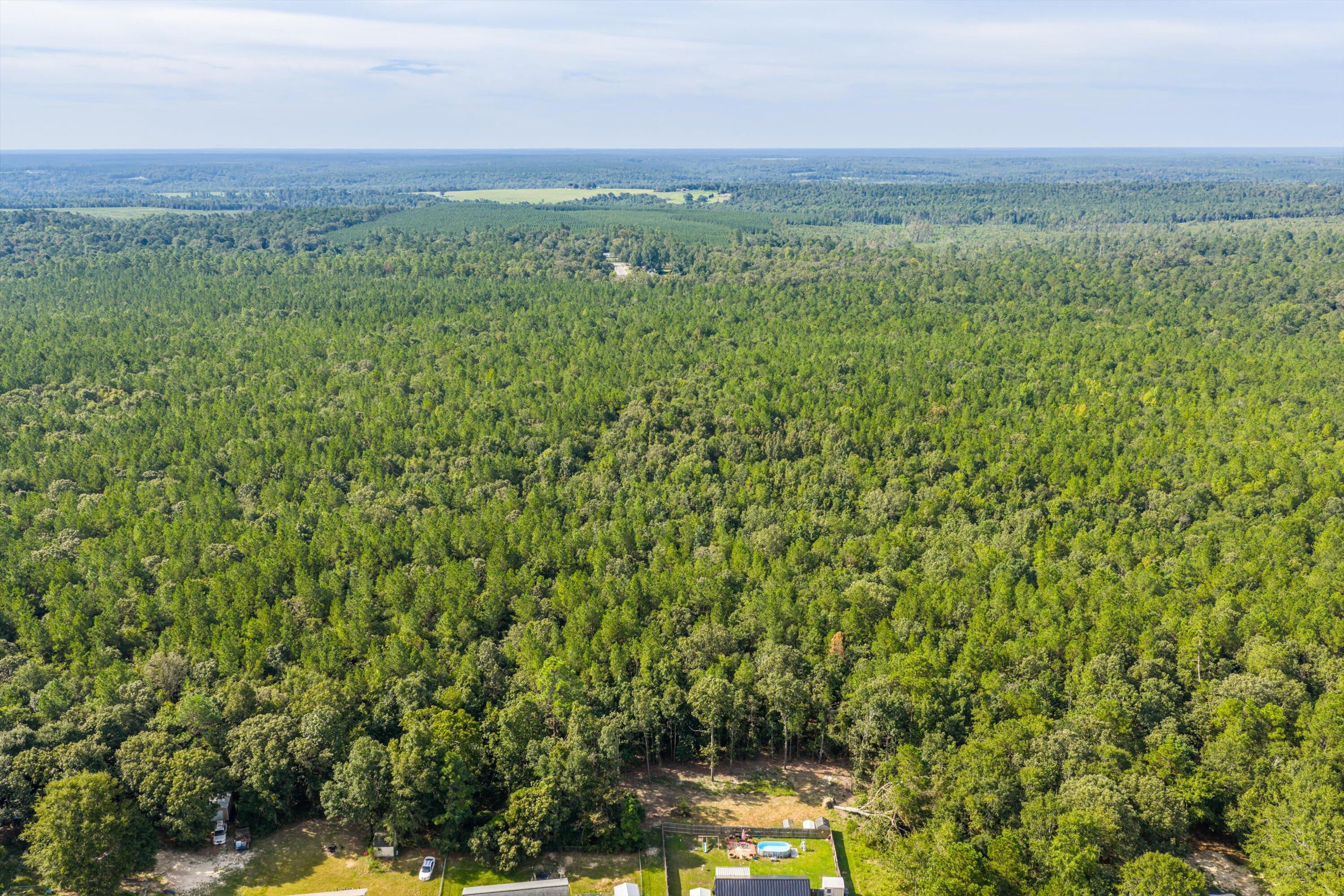 1503 Hephzibah - Mcbean Road Property Photo 20