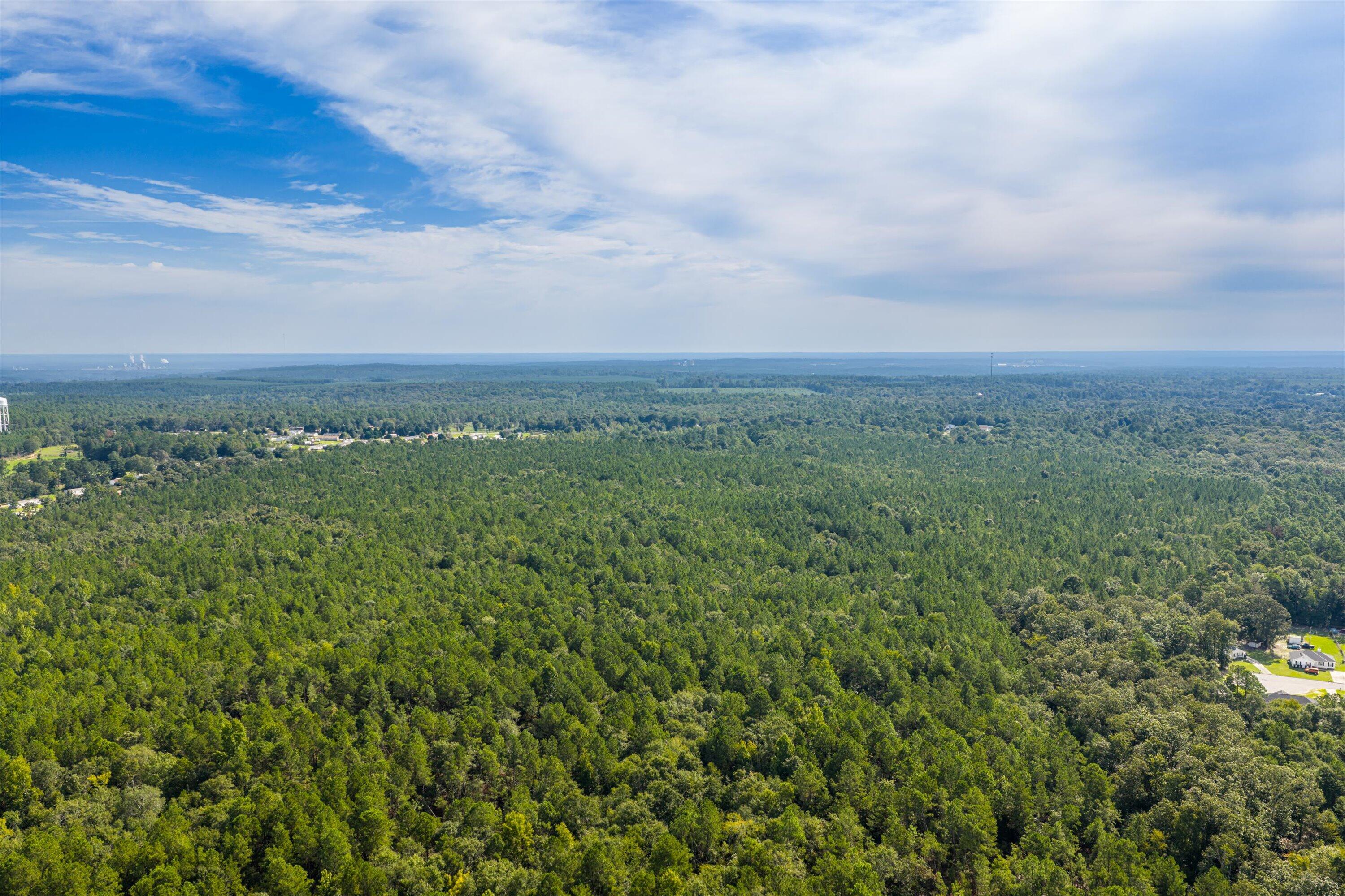 1503 Hephzibah - Mcbean Road Property Photo 27